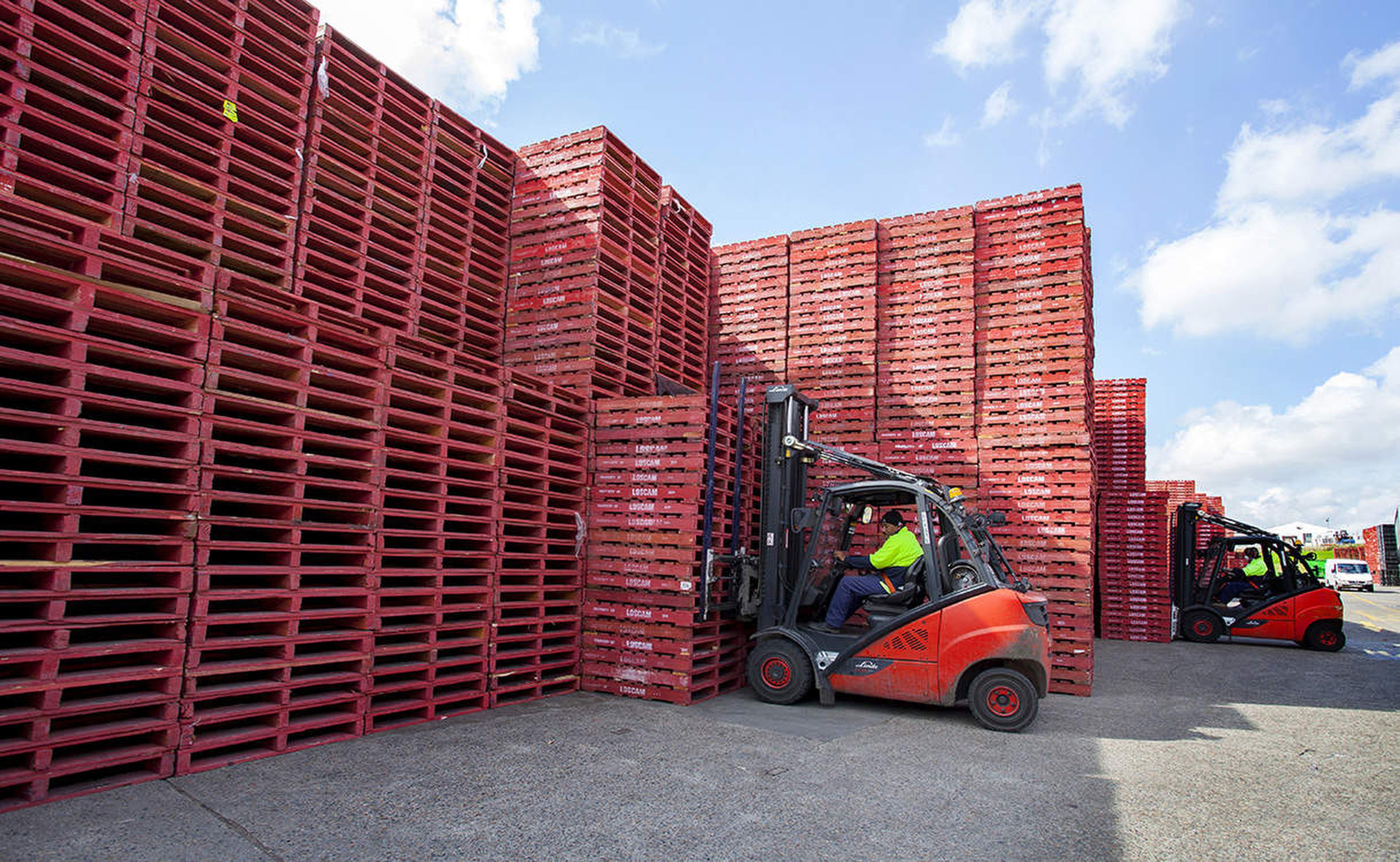 A worker stacks Loscam pallets at a facility in Australia in this undated photo. Photo: Loscam