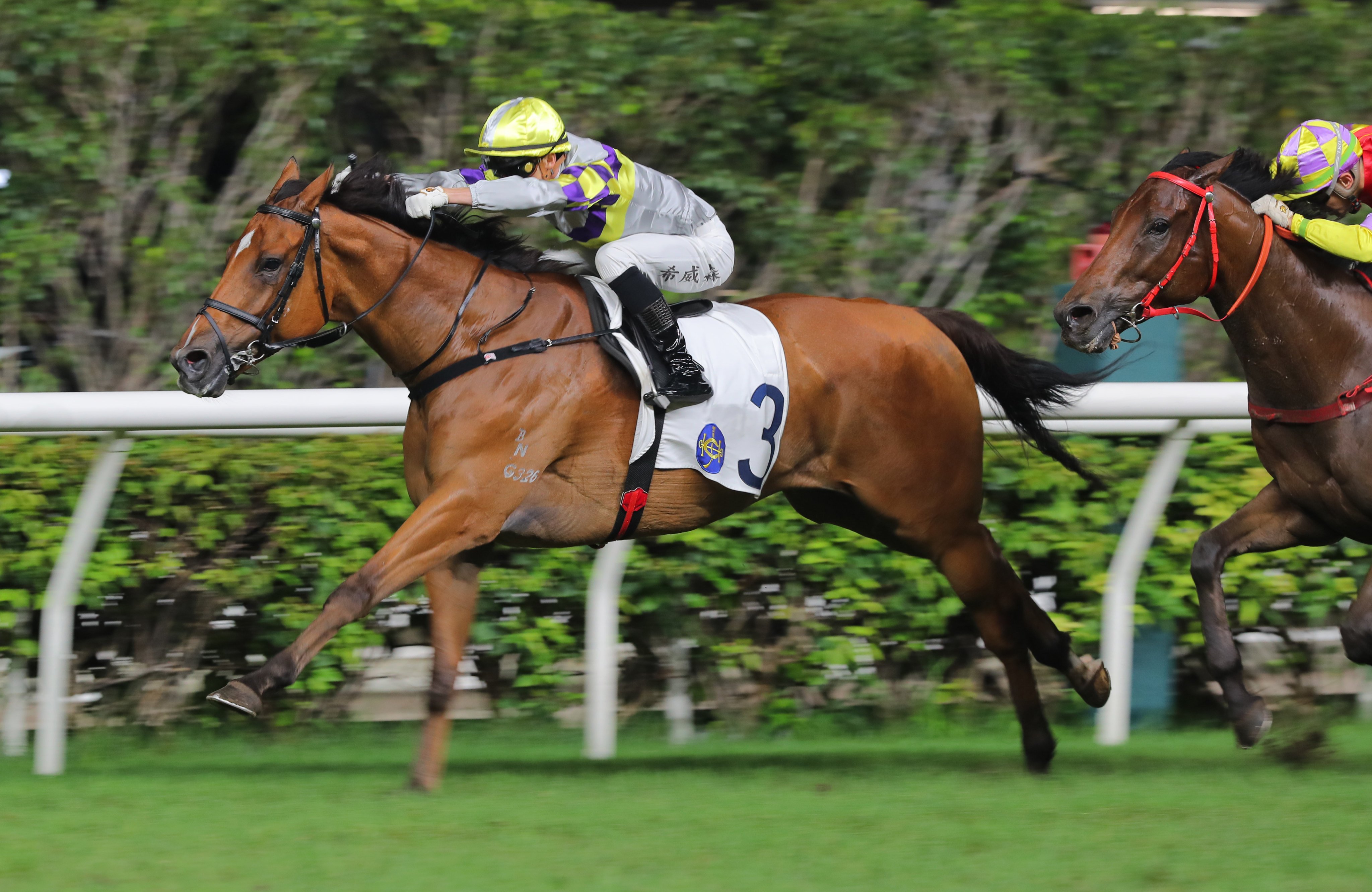 Lyle Hewitson boots home Yellowfin at Happy Valley last start. They team up again at Sha Tin on Wednesday night. Photos: Kenneth Chan