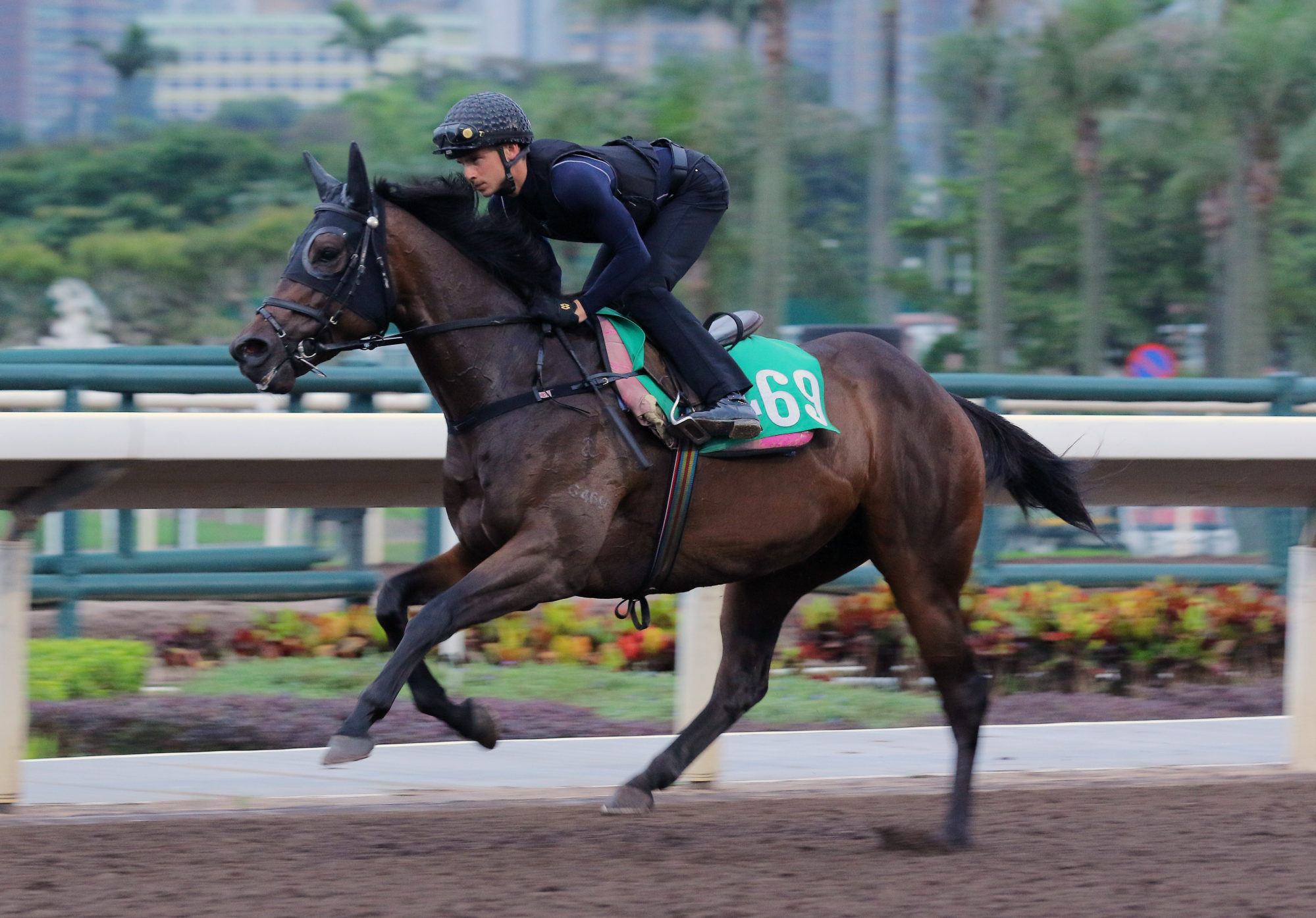 Lyle Hewitson gallops Call Me Dandy on the Sha Tin dirt on Monday.