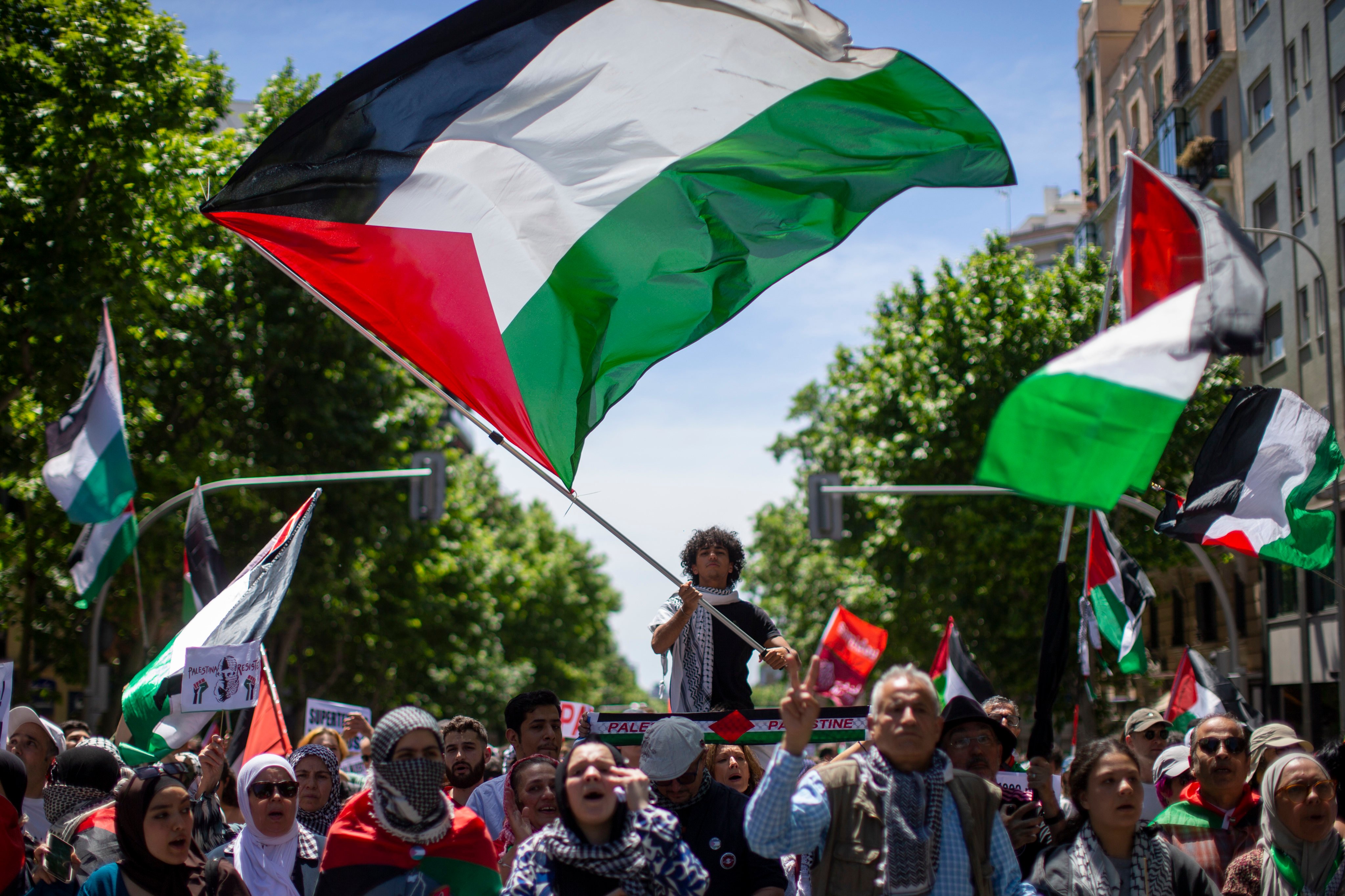 Protesters hold banners and Palestinian flags during a Pro-Palestine demonstration in Madrid, Spain Photo: Luis Soto/ZUMA Press Wire/dpa
