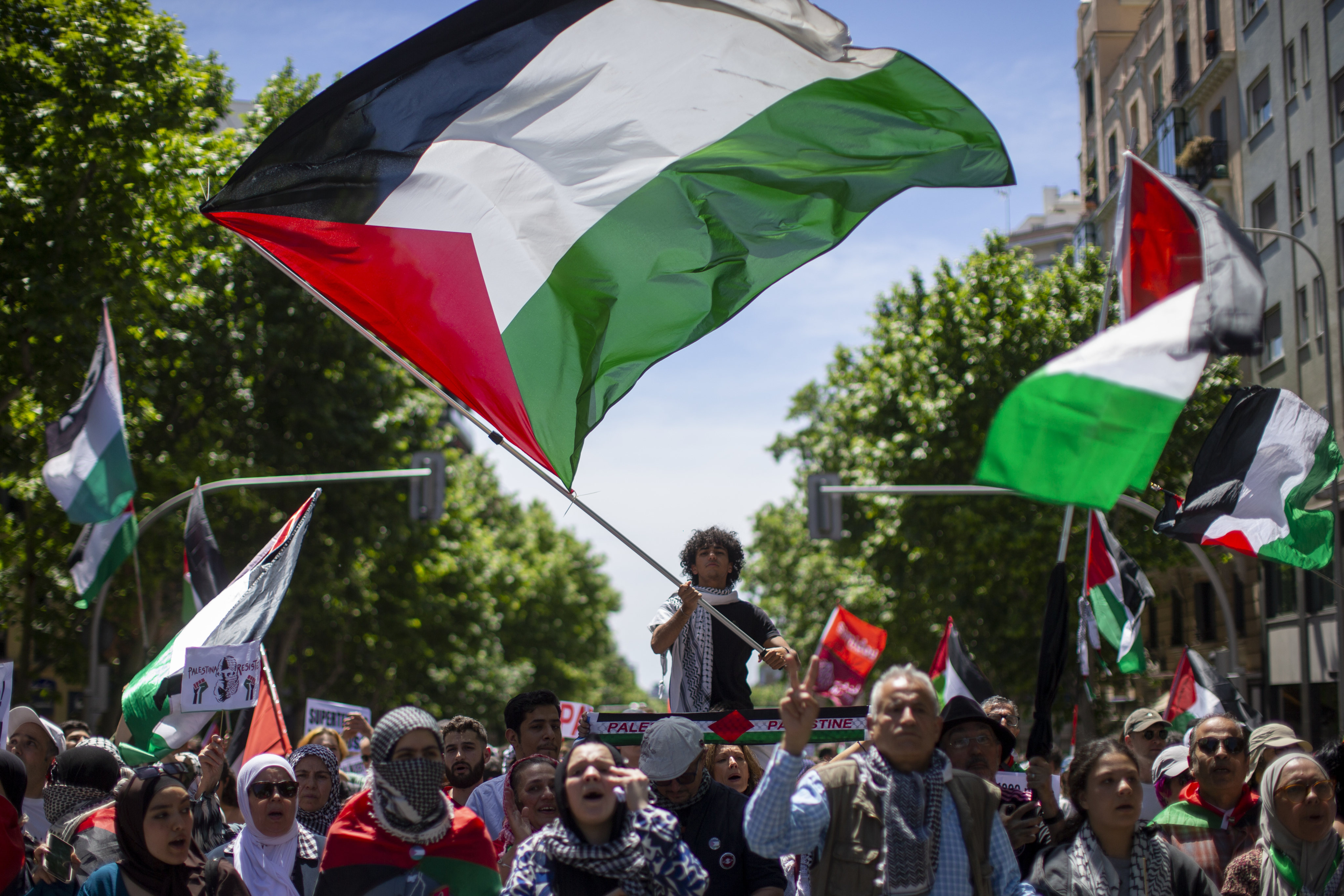 Protesters hold banners and Palestinian flags during a Pro-Palestine demonstration in Madrid, Spain Photo: Luis Soto/ZUMA Press Wire/dpa