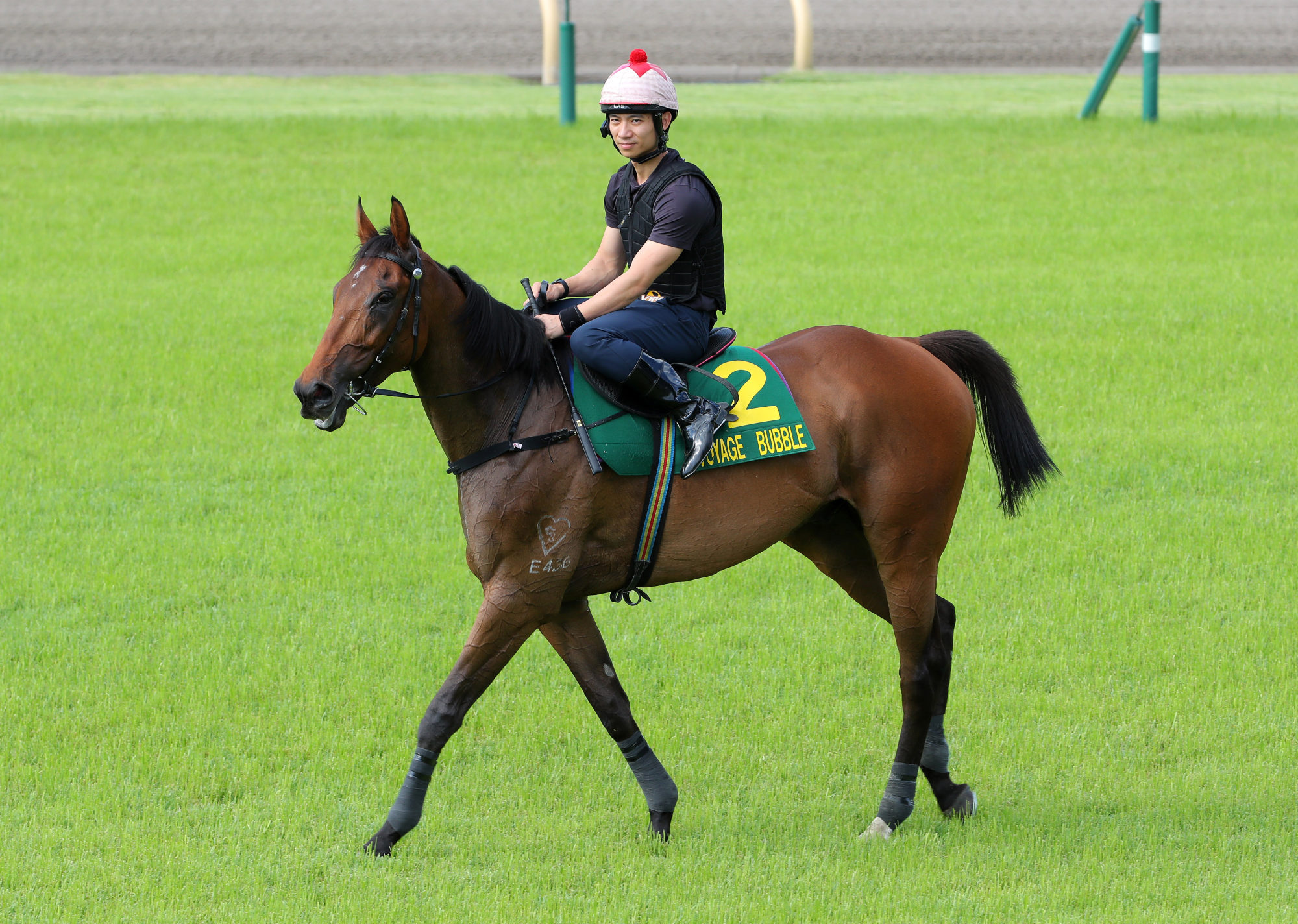 Voyage Bubble returns to his stable after working on the turf at Tokyo on Thursday.