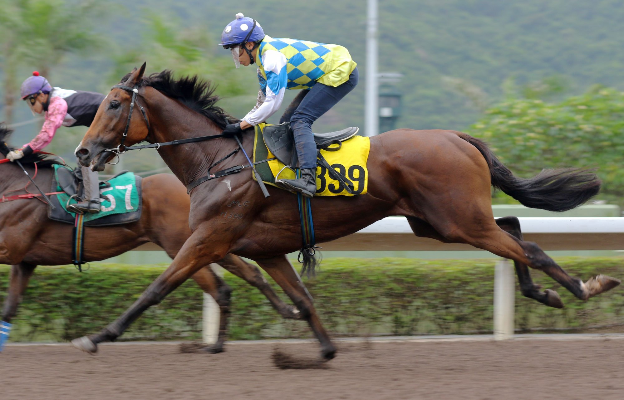 Galaxy Patch is put through his paces in a recent trial under Vincent Ho.