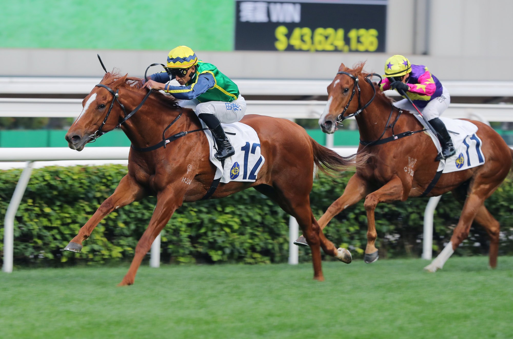 Karis Teetan guides Mugen to victory at Sha Tin in January.