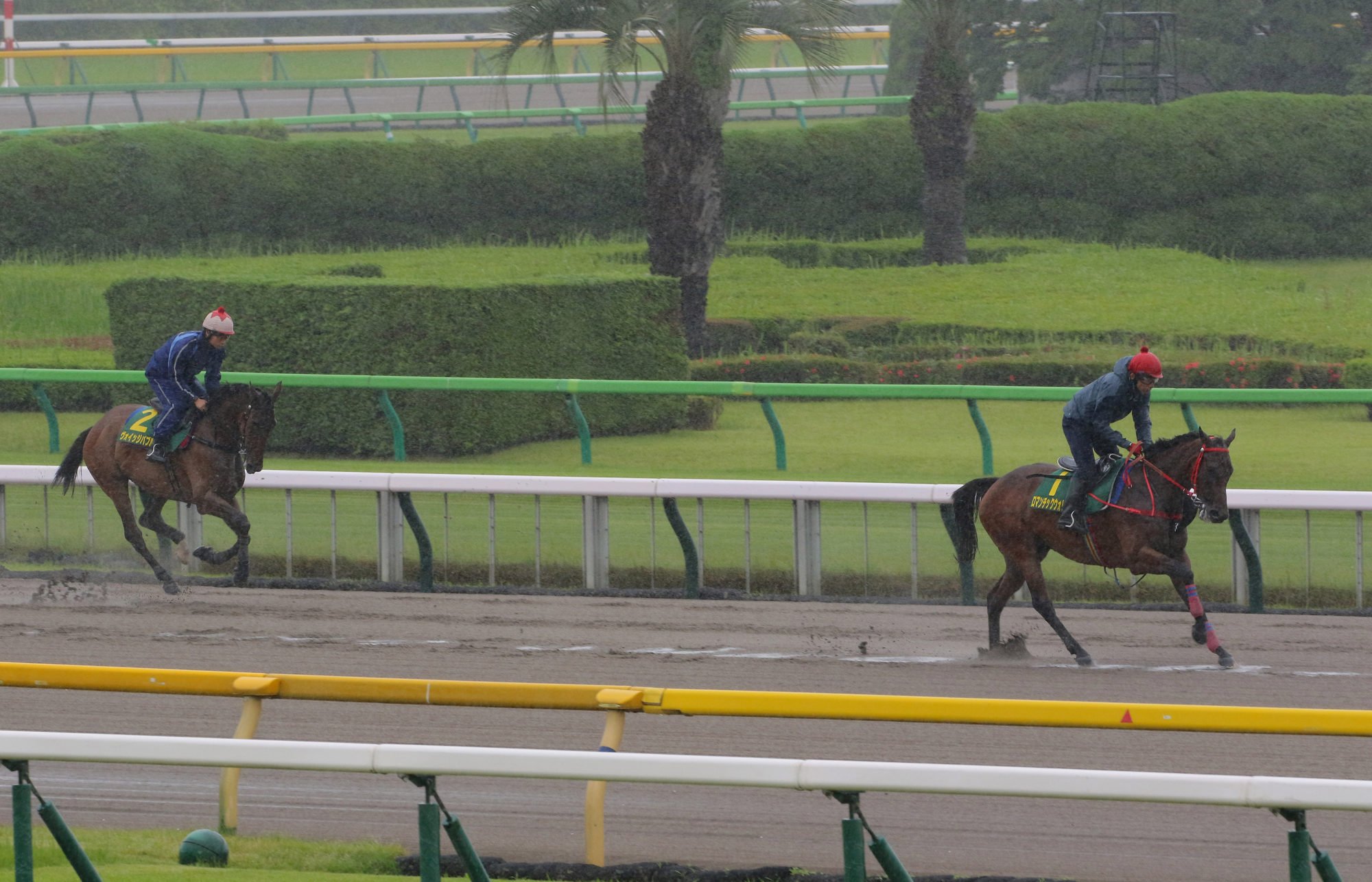 Romantic Warrior leads Voyage Bubble through the wet conditions at Tokyo racecourse on Friday.