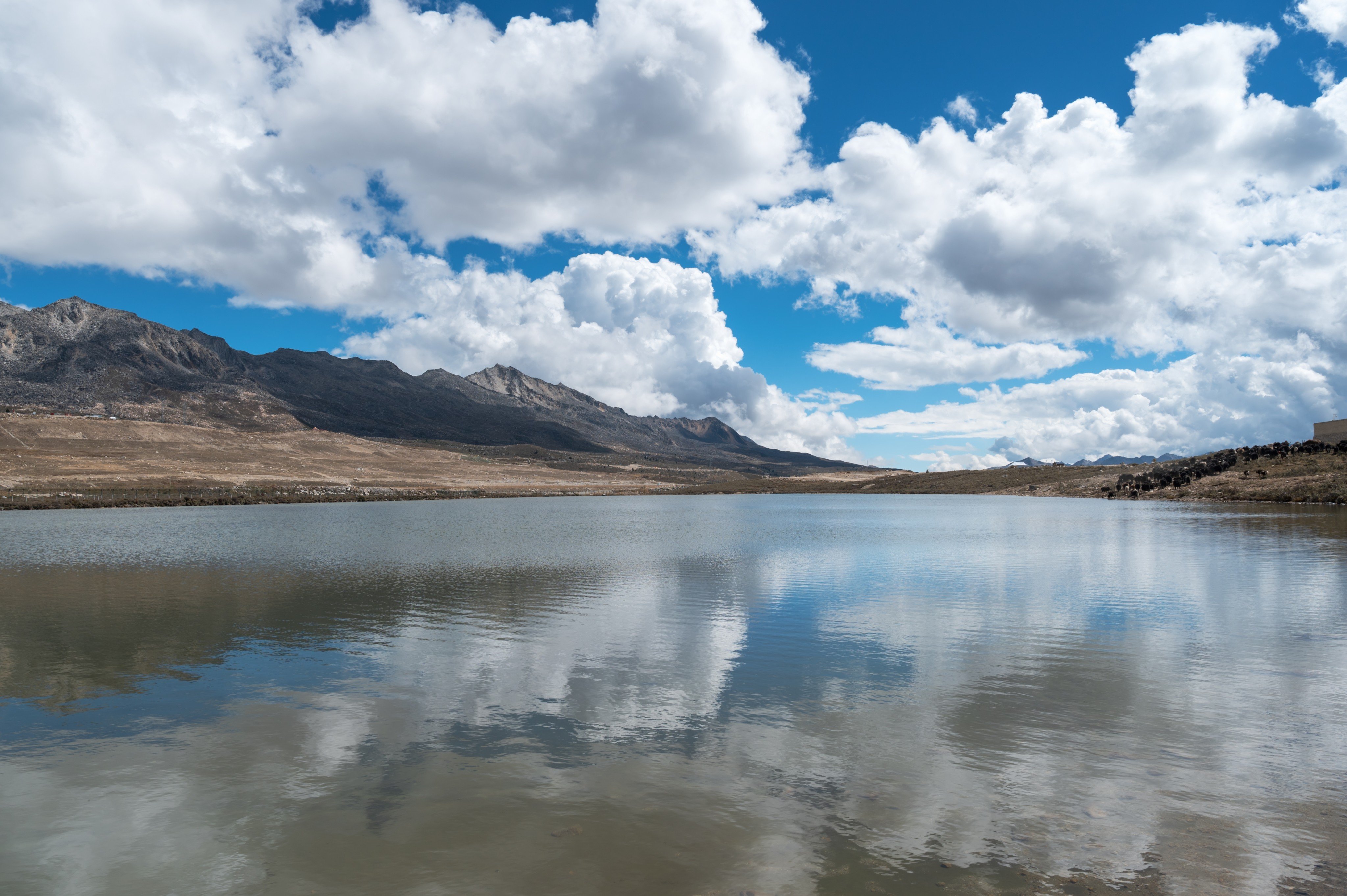 Lakes in the Qinghai-Tibet Plateau are set to increase massively in water volume and surface area as a result of climate change according to a new study. Photo: Shutterstock