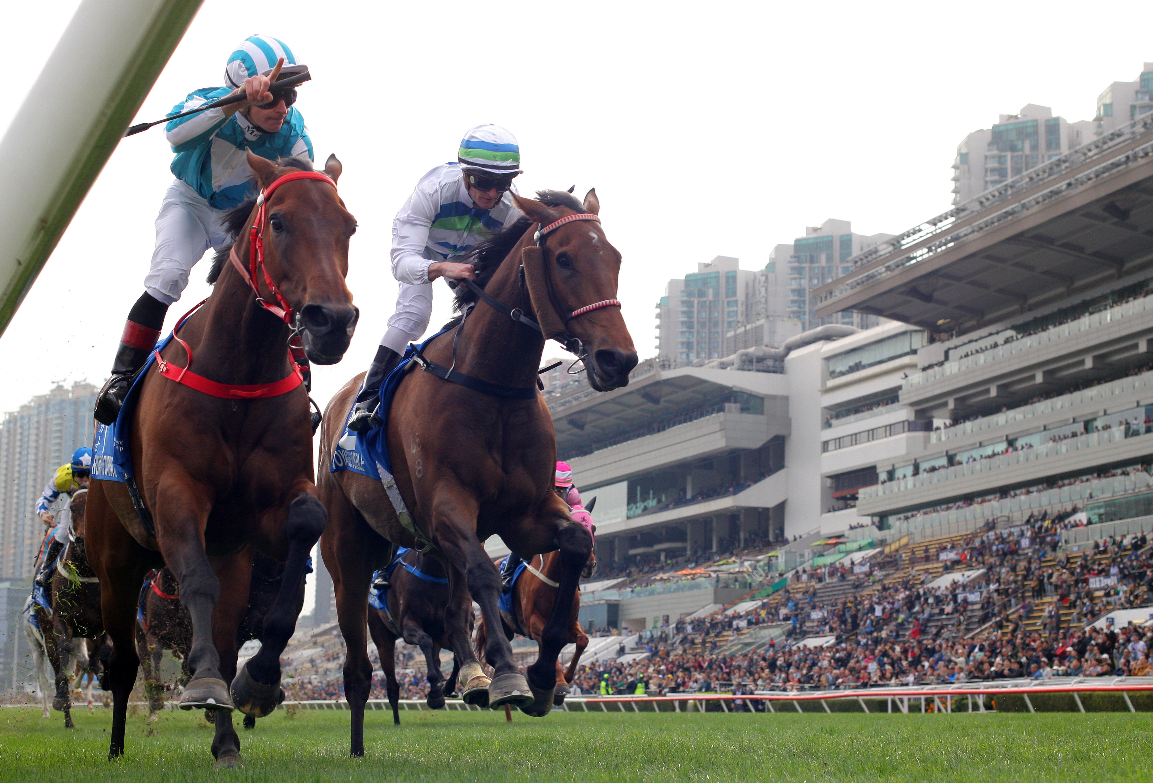 Voyage Bubble (right) is narrowly denied by Romantic Warrior in February’s Gold Cup. Photos: Kenneth Chan