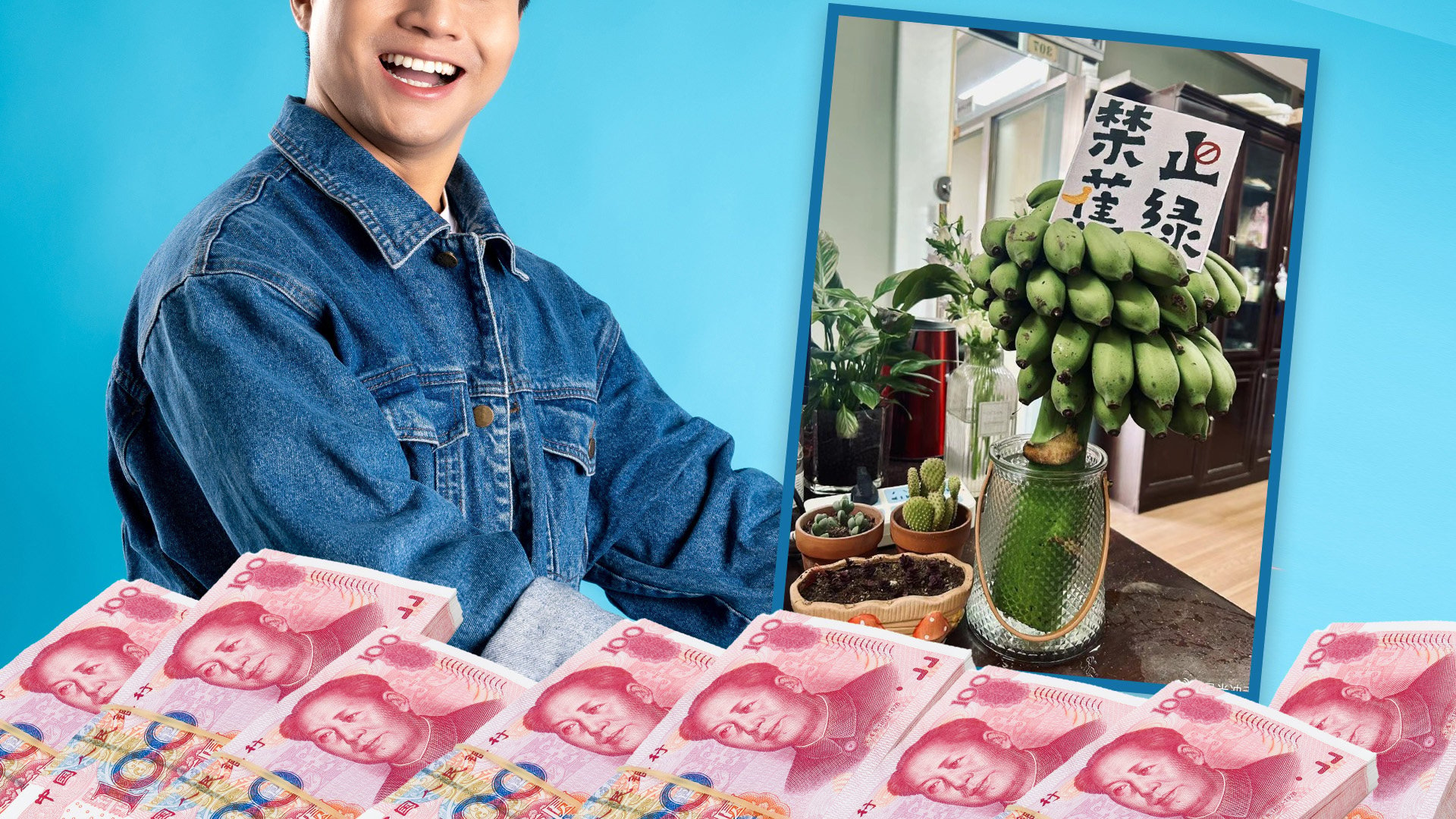 A burned-out worker in China gave up his job to make US$280,000 a month selling green bananas as fruit cultivation in offices for stress relief goes viral. Photo: SCMP composite/Shutterstock/Weibo