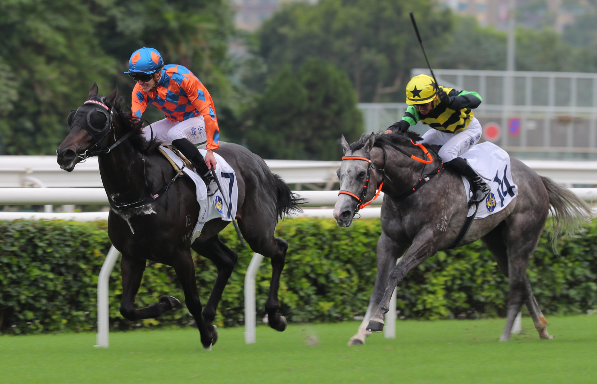 Luke Ferraris lifts The Concentration (left) to an upset win at Sha Tin.