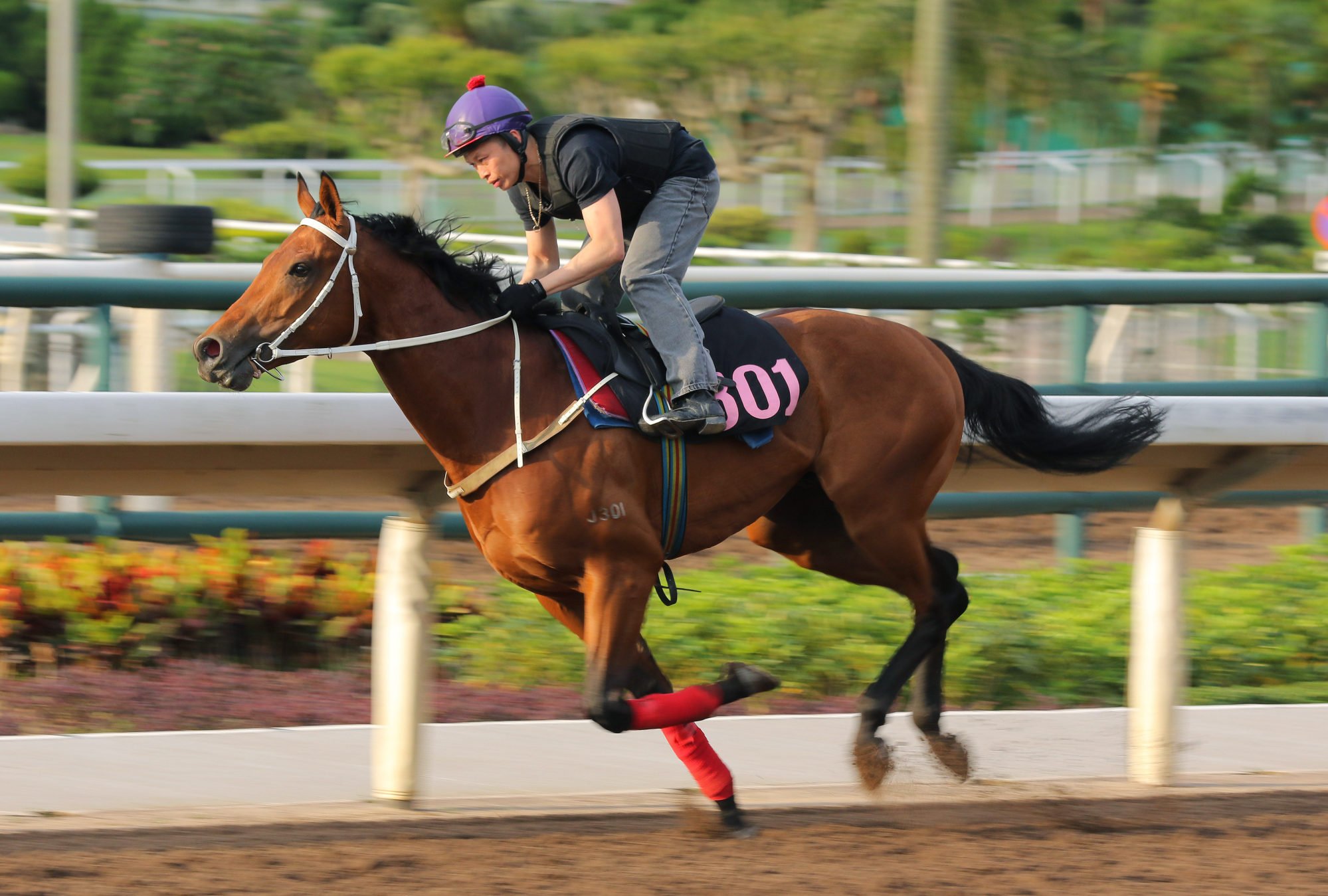 Stunning Peach gallops at Sha Tin last month.