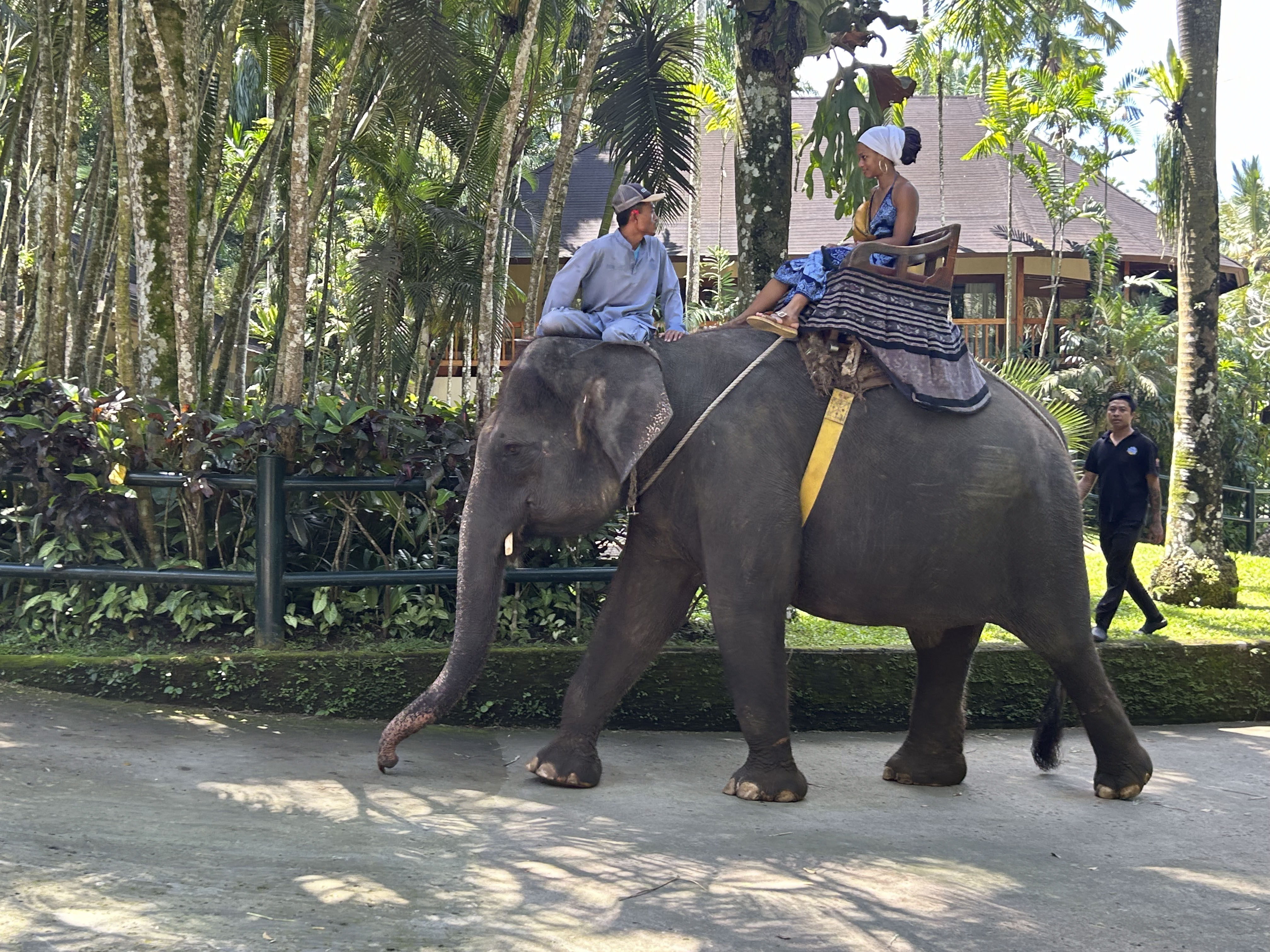 A tourist rides on an elephant at Mason’s Elephant Park and Lodge, Bali, Indonesia. Animal welfare groups slam Bali’s elephant parks for cruelly exploiting their captive animals for tourism, while park owners say the elephants enjoy human interaction and exercise. Photo: Dave Smith