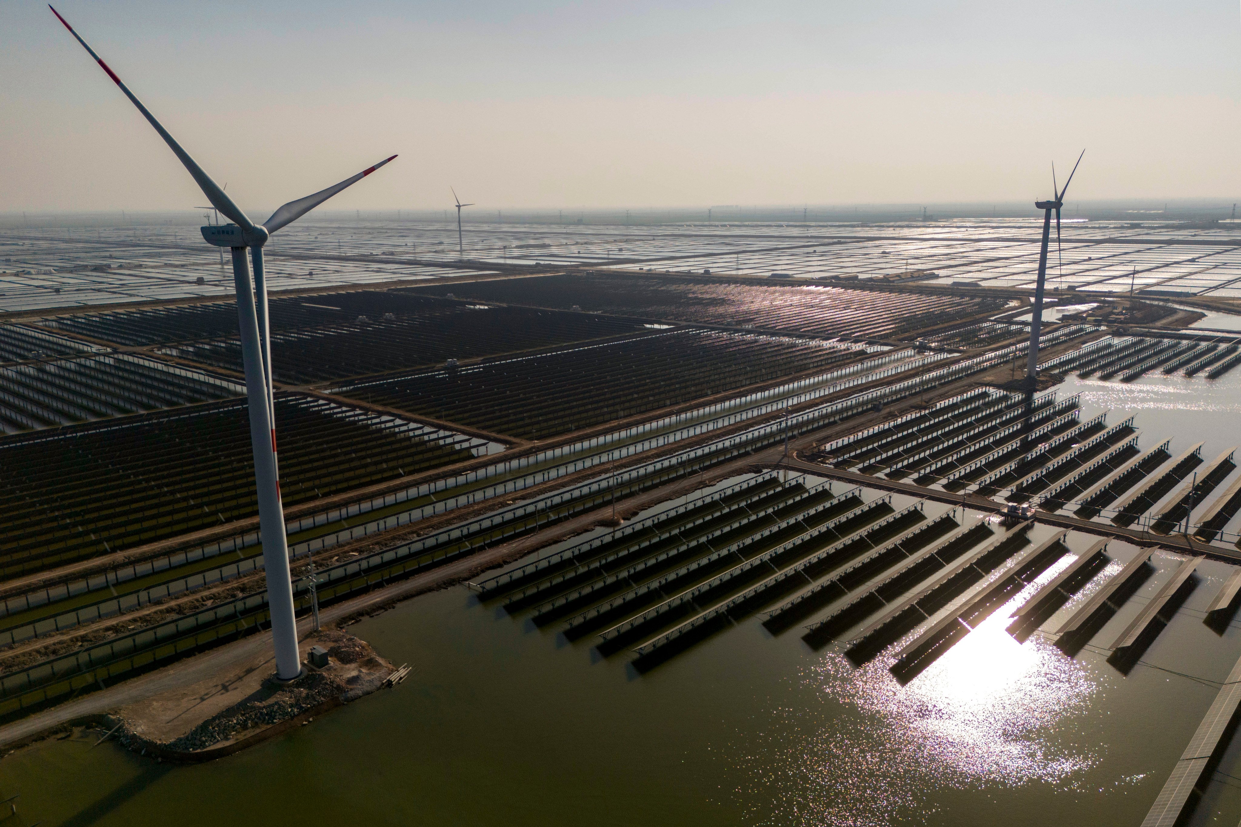 Wind turbines dot the coastline along a giant solar farm near Weifang in eastern China’s Shandong province on March 22, 2024. Photo: AP