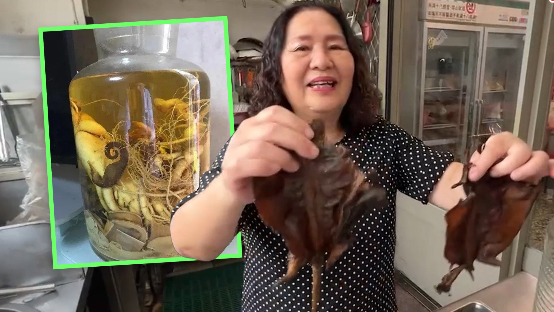 Concerns from a woman in Taiwan that her medicinal, wine-soaked traditional Chinese dried goods were made of plastic forced experts to take a closer look. Photo: SCMP composite/Liberty Times/Baidu