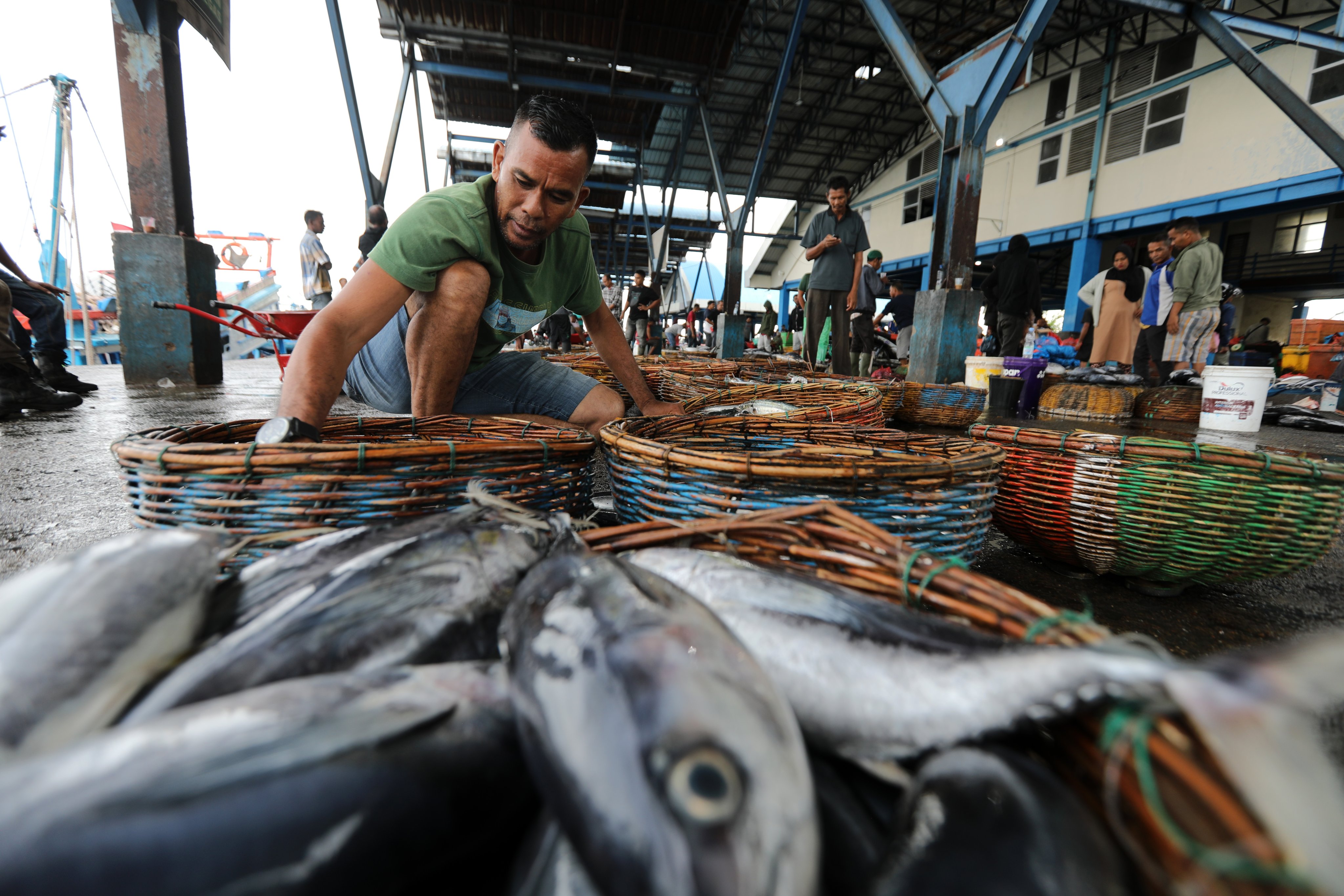 Fresh fish are displayed at a seafood auction at Lampulo fishing port in Banda Aceh, Indonesia, on December 1, 2023. Photo: EPA-EFE