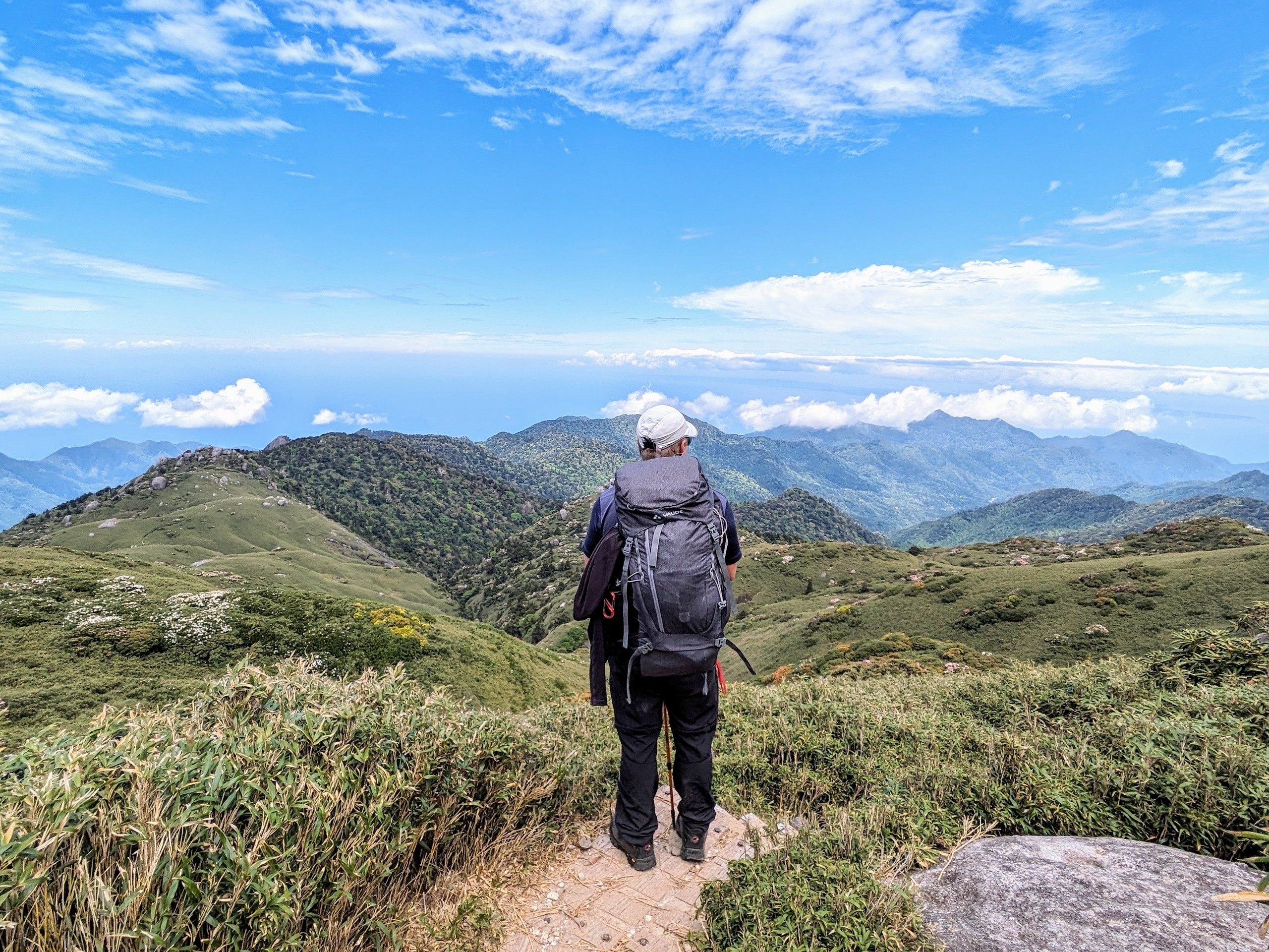 Hiking the trails of Yakushima, in southern Japan. Photo: Fiona Ching