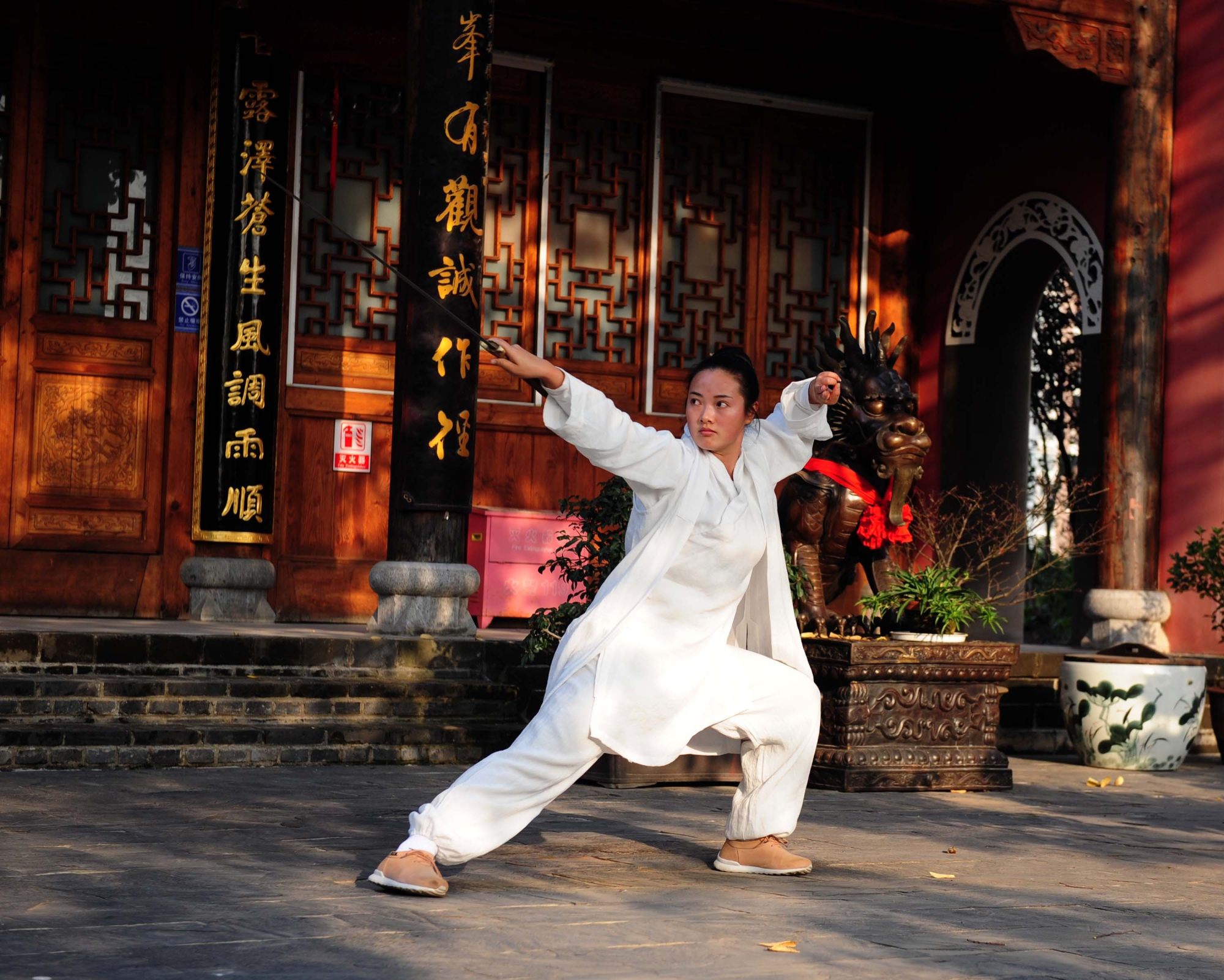 Chinese martial arts 101: Bruce Lee popularised them, but what defines ...