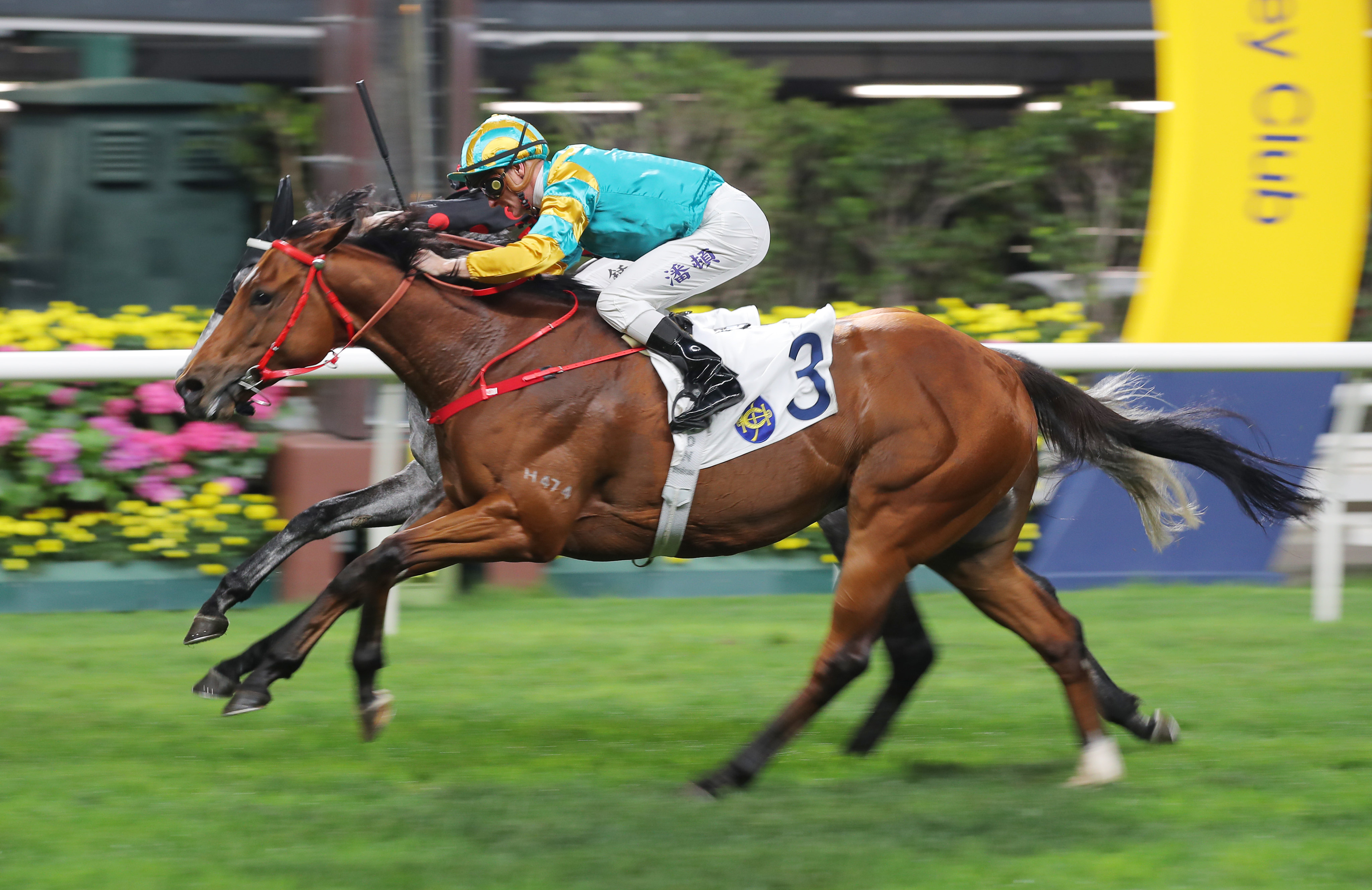 Moments In Time passes the Happy Valley winning post for a second victory under Zac Purton. Photos: Kenneth Chan