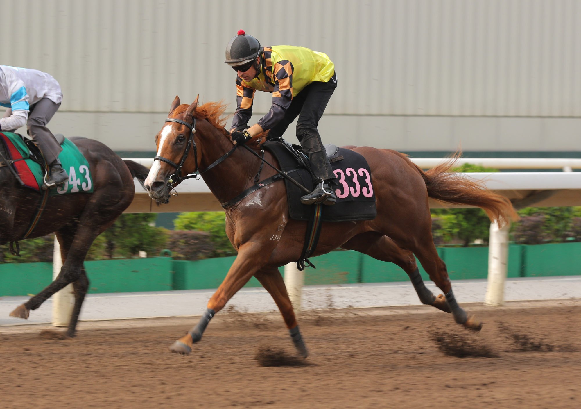 Magic Control in action in a Sha Tin dirt trial.