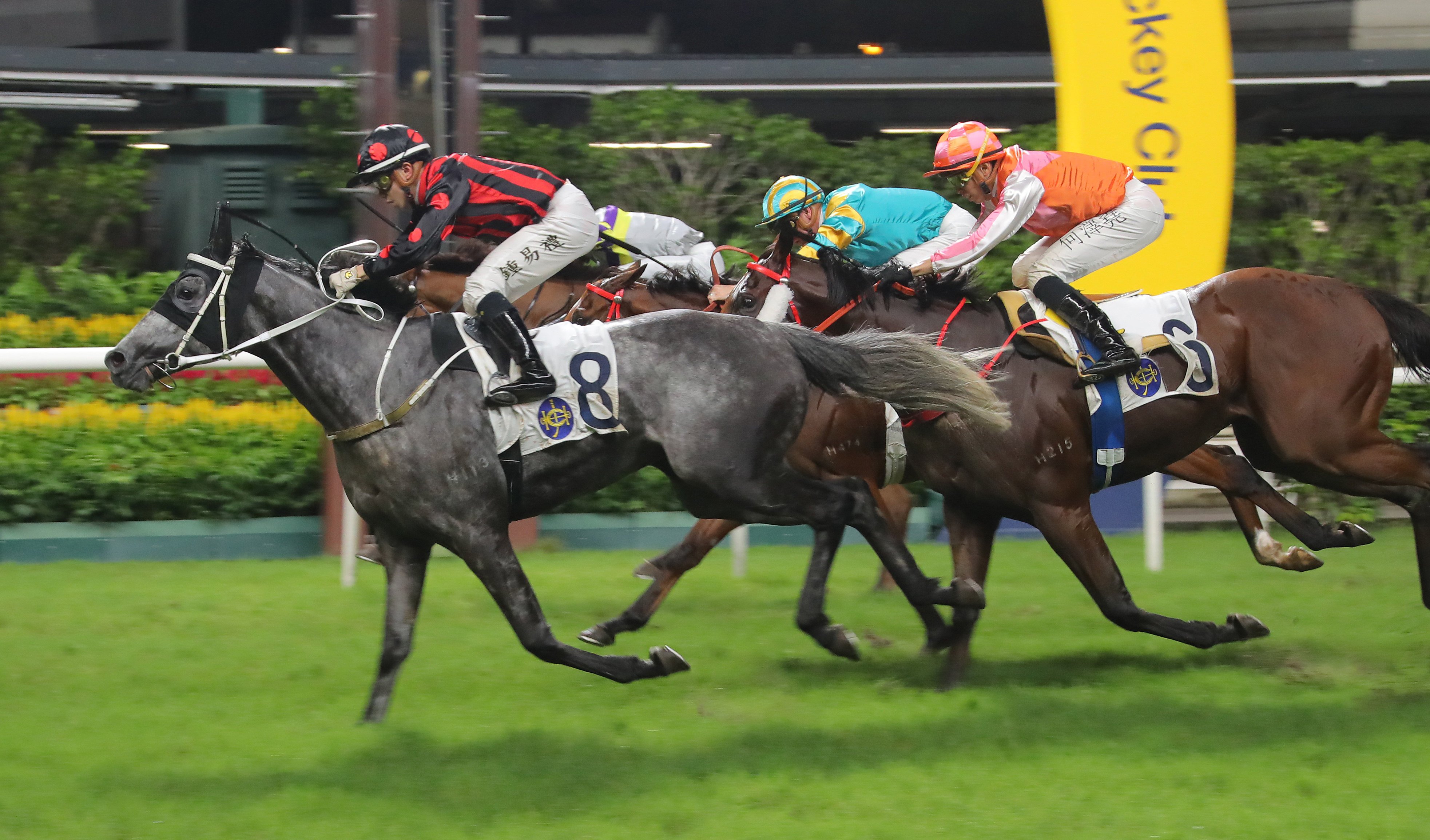 Angus Chung guides Outgate to victory at Happy Valley. Photos: Kenneth Chan