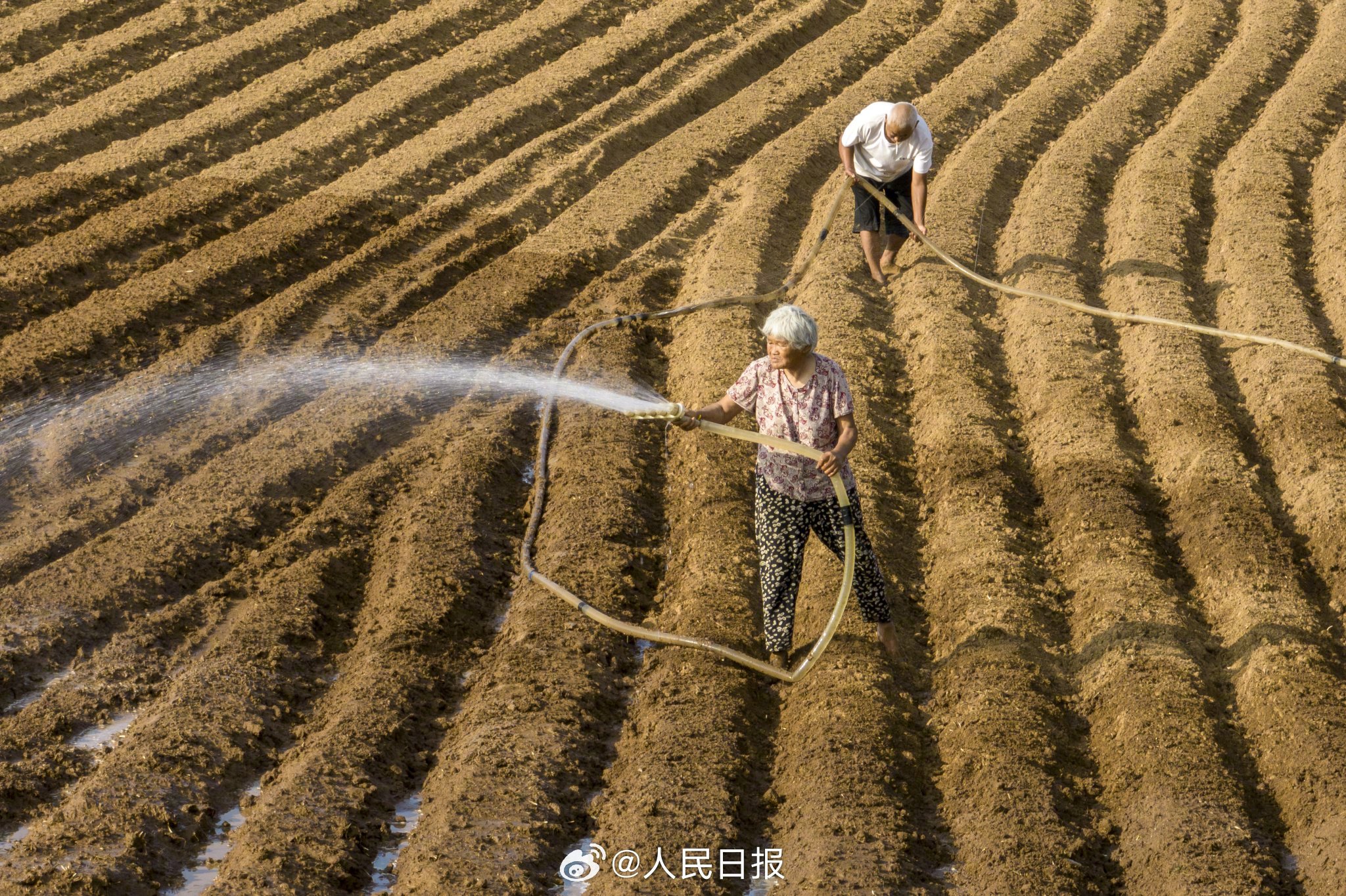 China has sent emergency task forces to help with drought relief in Shandong and Henan. The Ministry of Emergency Management stressed water must be ensured for crops. Photo: Weibo/人民日报