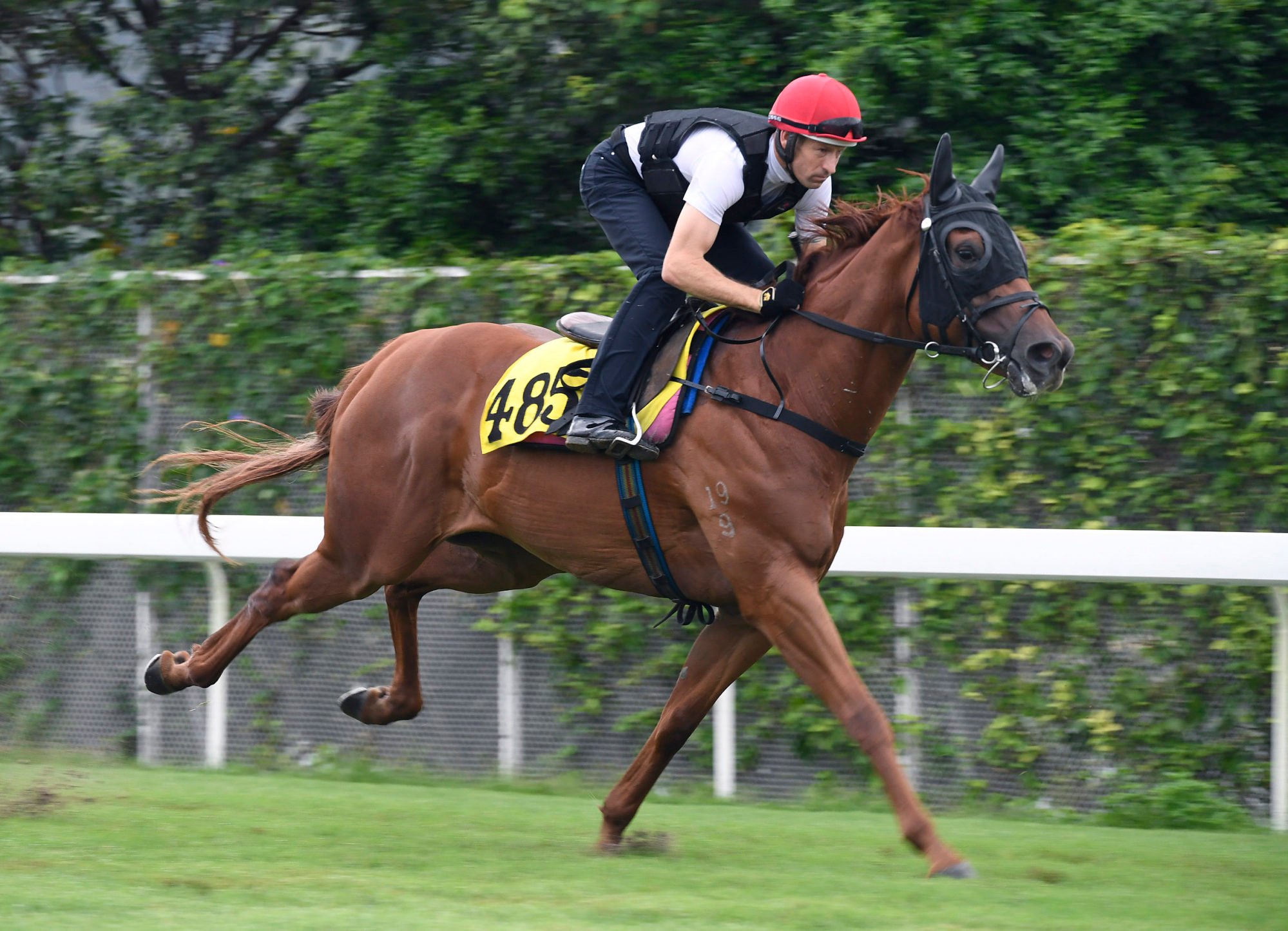 Patch Of Theta gallops at Sha Tin under Hugh Bowman.