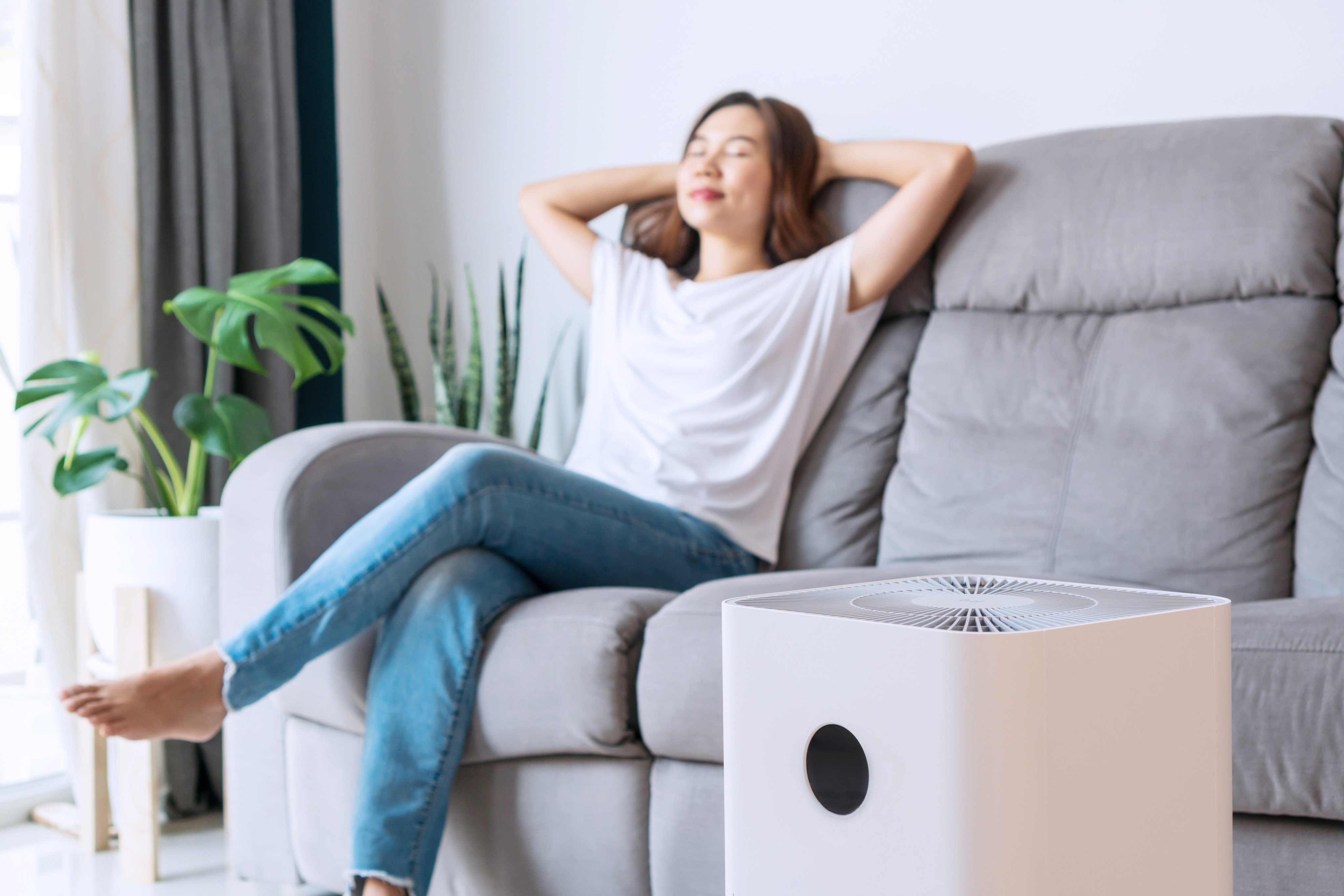 Consumer watchdog tests have found air purifier performance is not necessarily linked to price. Photo: Shutterstock