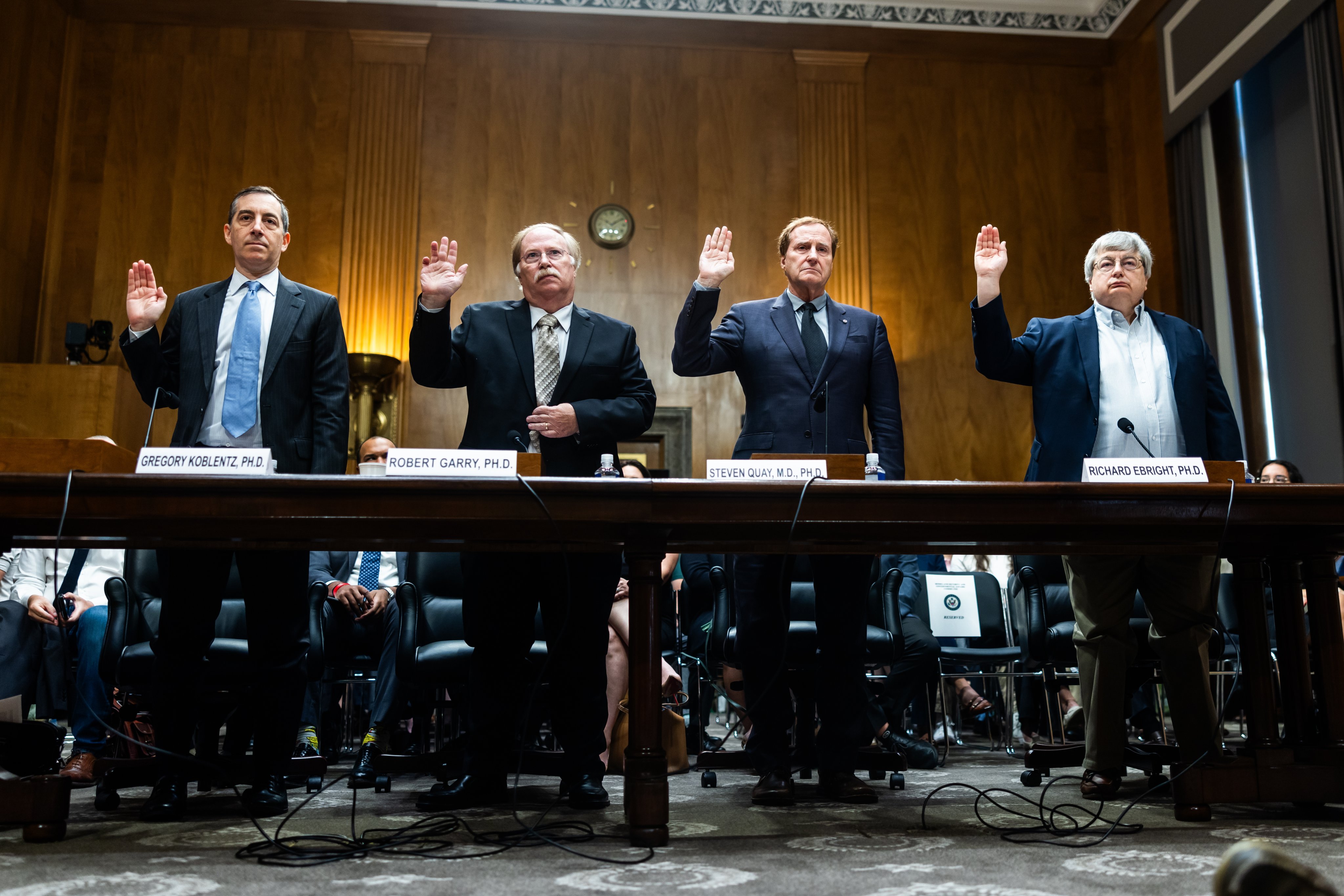 Testifying on Tuesday were, from left, Gregory Koblentz, associate professor and director of George Mason University’s Biodefence Graduate Program; Robert Garry, professor and associate dean in Tulane University’s School of Medicine; Steven  Quay, CEO of Atossa Therapeutics and former faculty member at the Stanford University School of Medicine; and Richard Ebright, professor of chemical biology and laboratory director for Rutgers University’s Waksman Institute of Microbiology. Photo: EPA-EFE