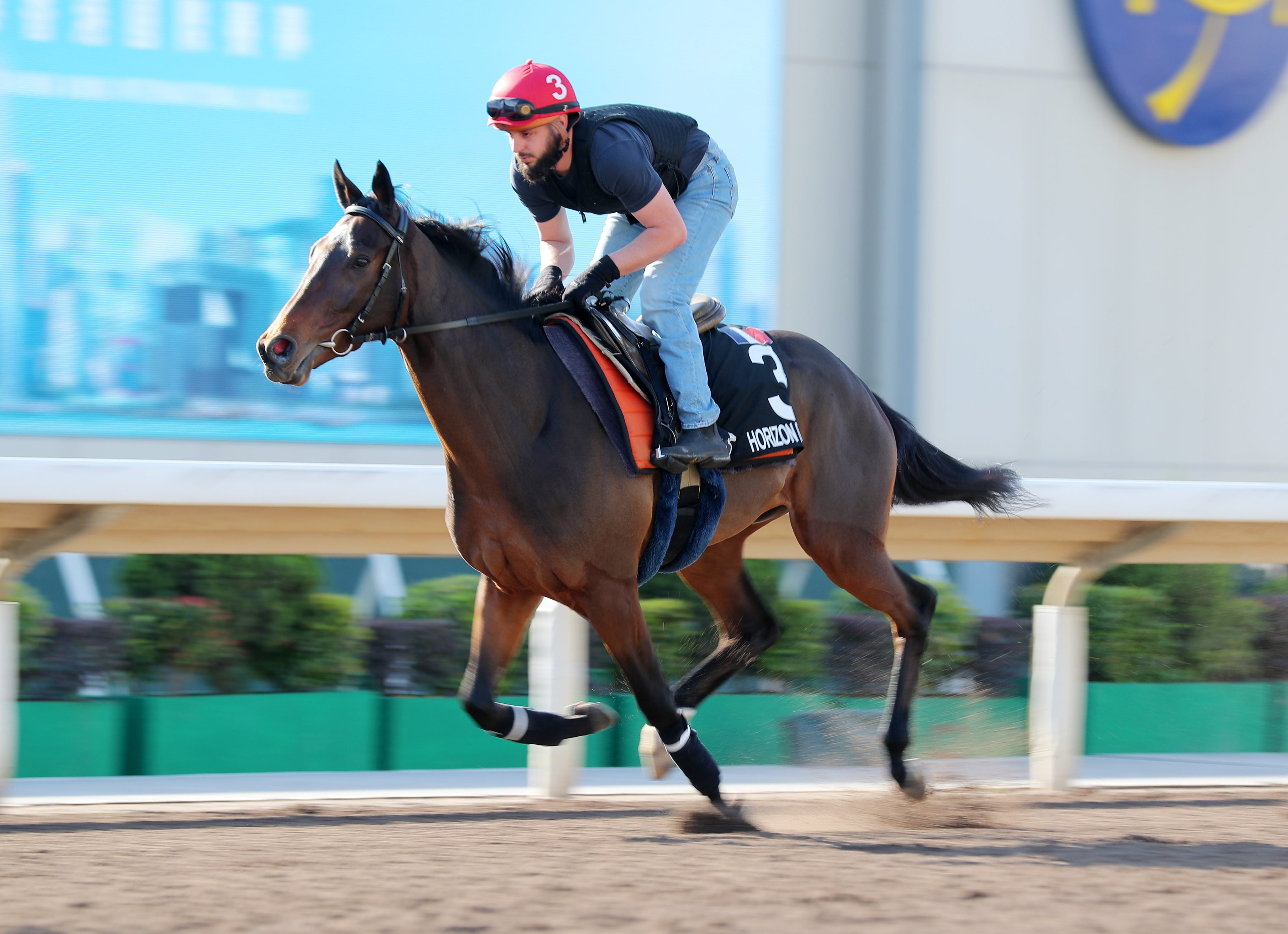 Horizon Dore works at Sha Tin in the lead up to December’s Hong Kong Cup. Photo: Kenneth Chan