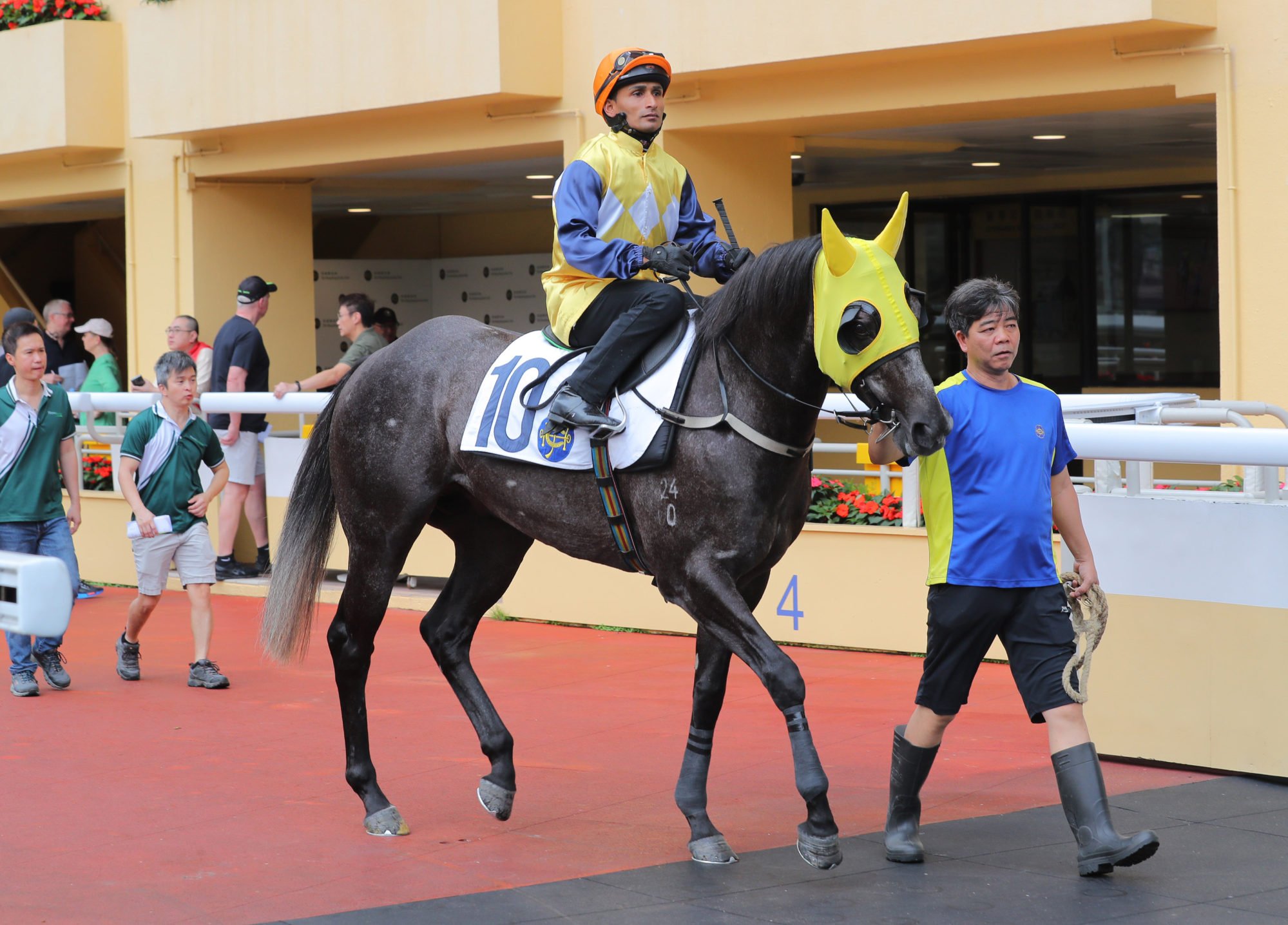 Karis Teetan aboard Little Brose before a Happy Valley trial in April.