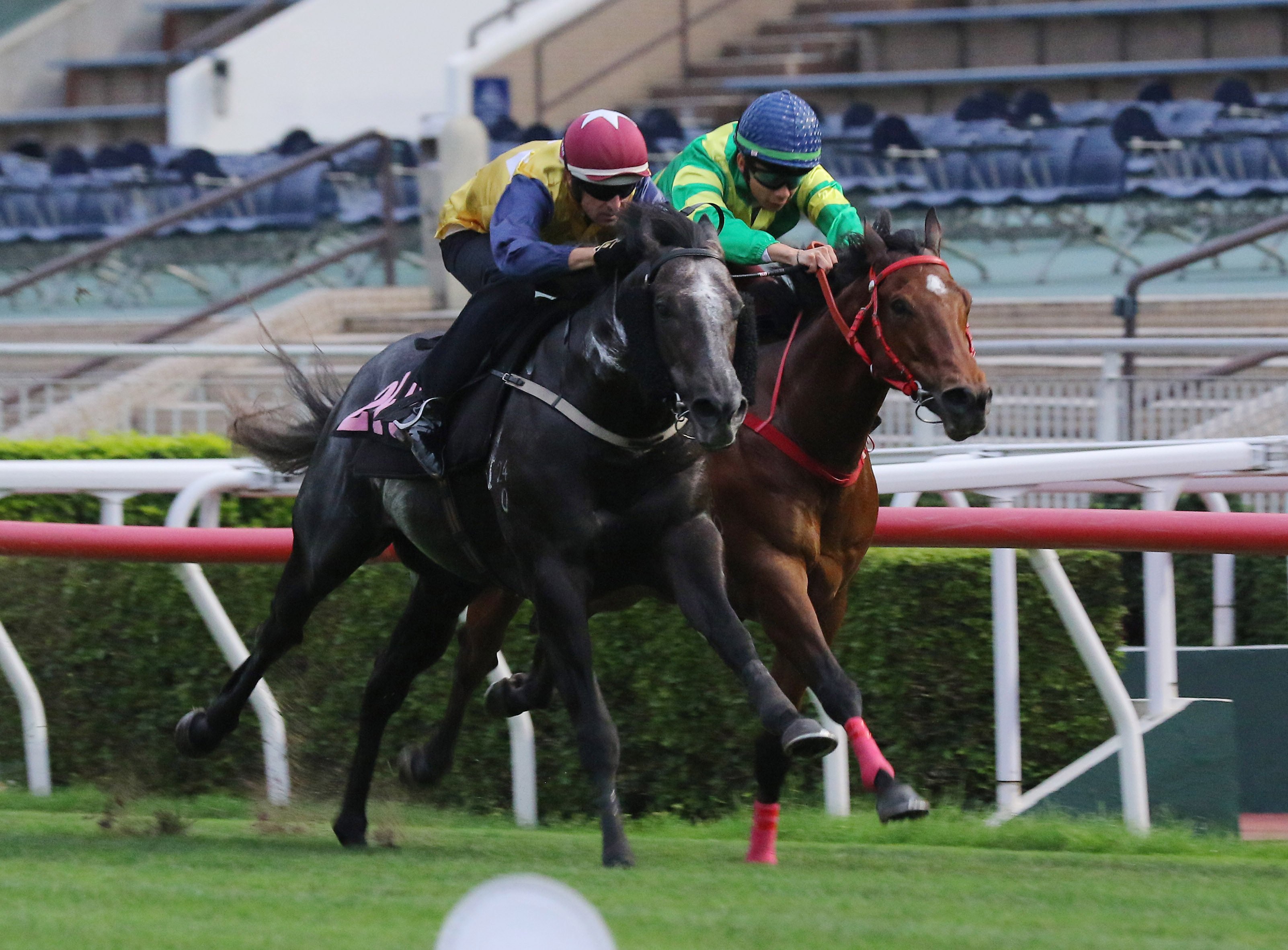 Little Brose (outside) wins a Sha Tin trial under Hugh Bowman in April. Photos: Kenneth Chan