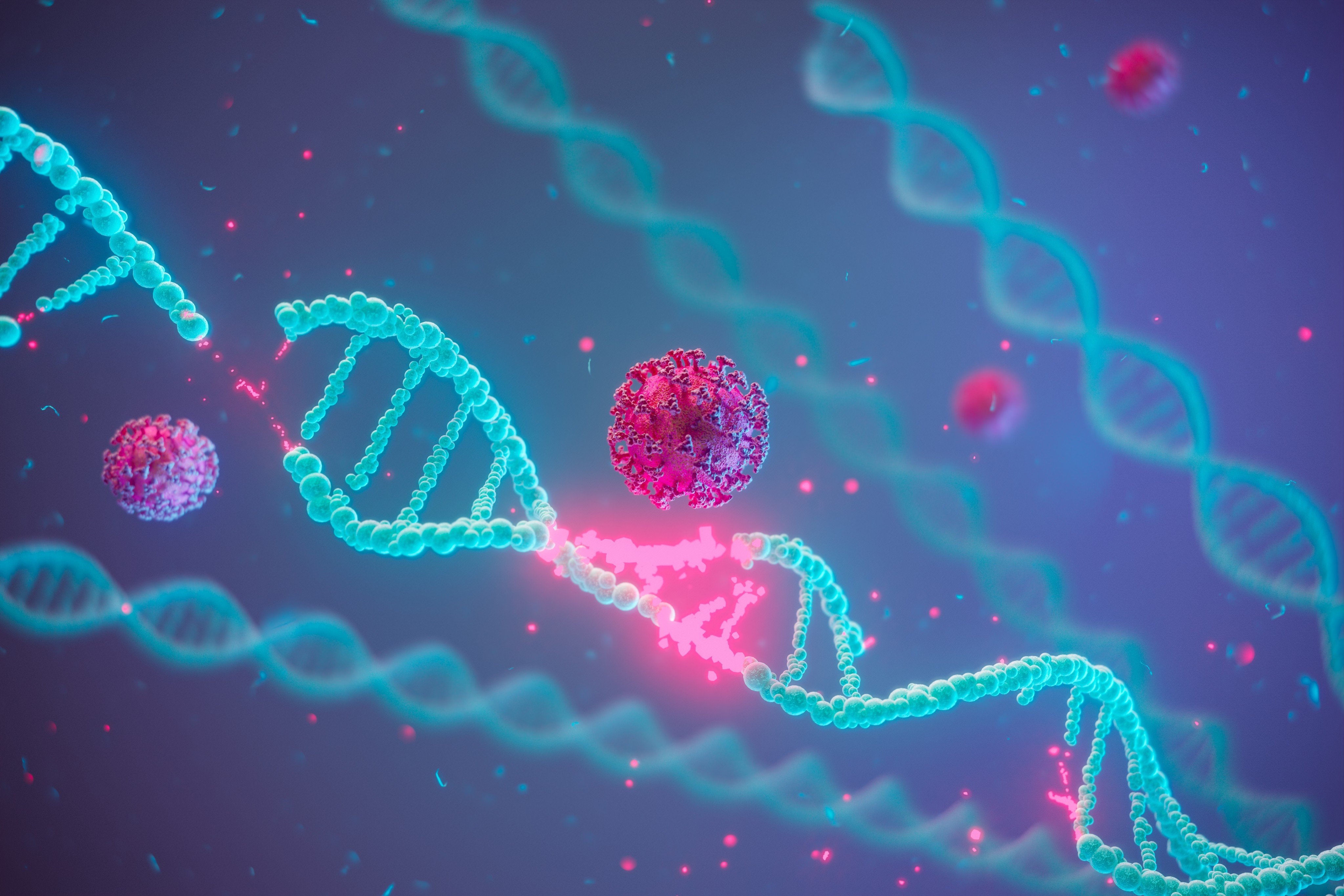Chinese researchers say a new CRISPR-based gene editing system has opened new possibilities in plant engineering and disease treatment. Photo: Shutterstock