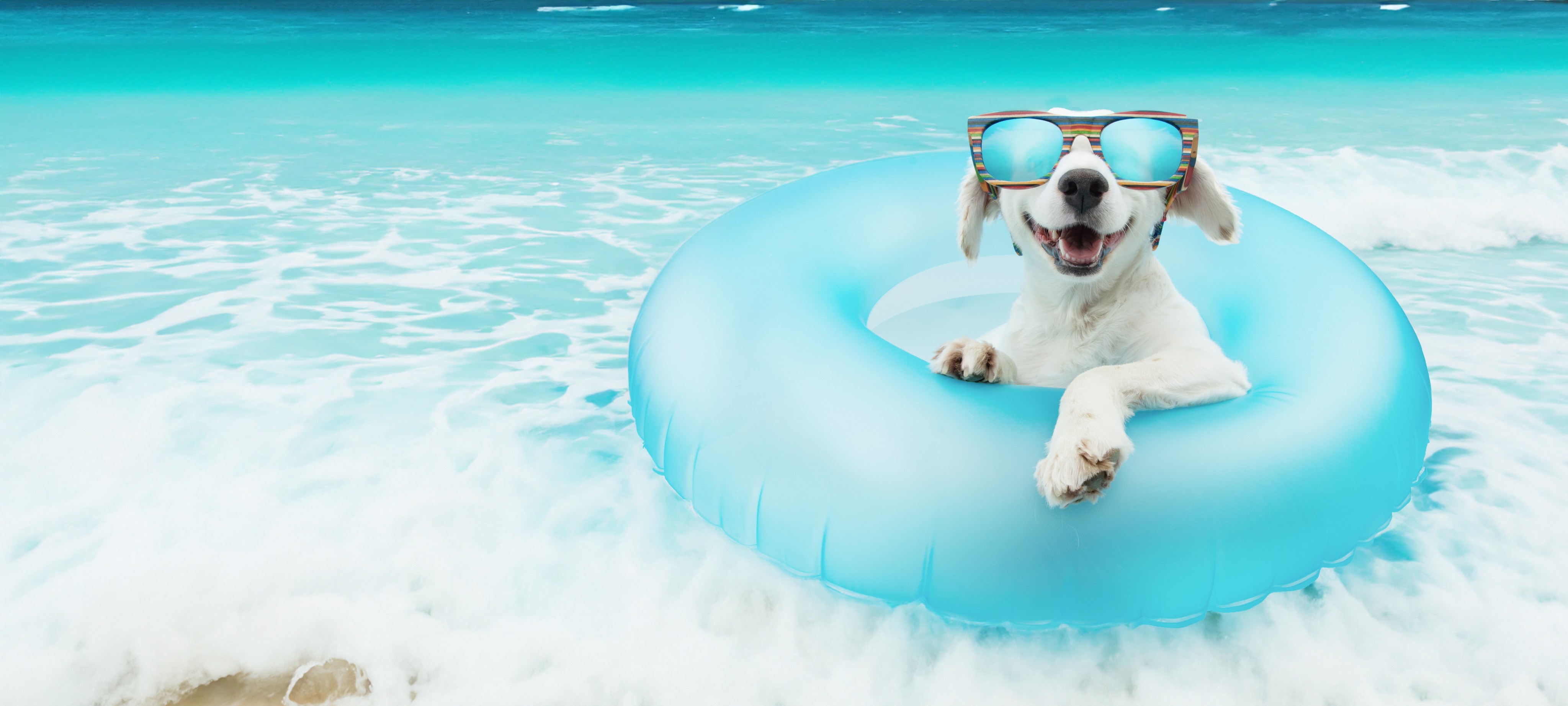 It’s summer, and Young Post is taking a break! We’ll see you again in September! Photo: Shutterstock
