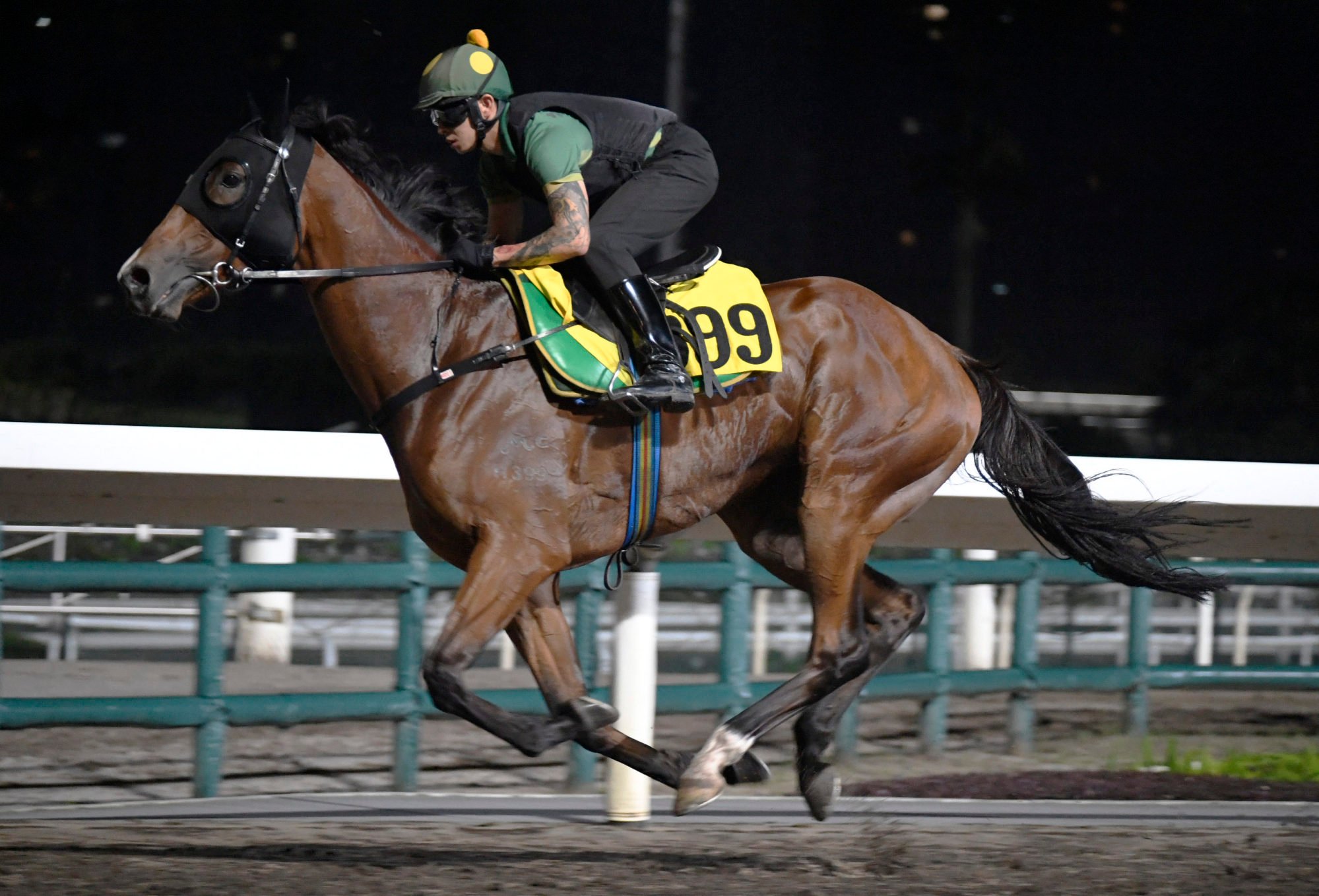Galaxy Patch works on the all-weather track at Sha Tin on Thursday.