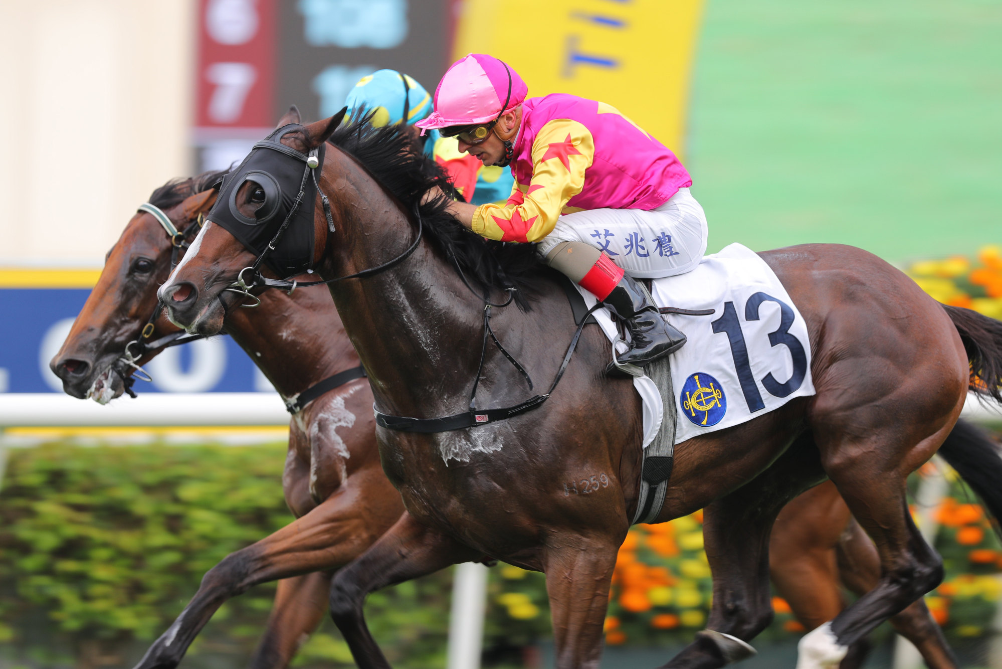 Andrea Atzeni lifts Super Bonus to a close win at Sha Tin.