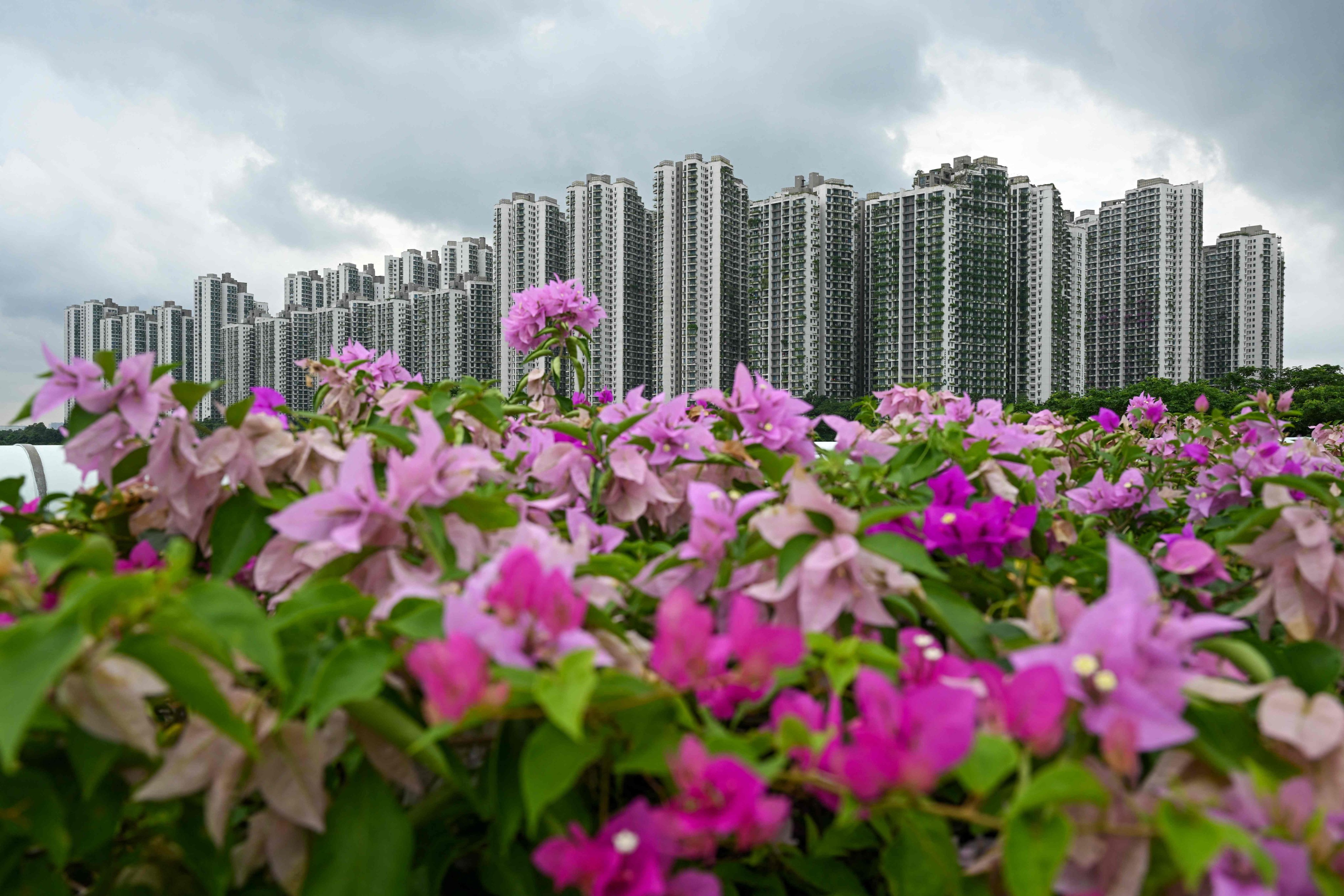 Malaysia’s US$100 billion China-backed ghost city was meant to house 700,000 people, Now, the mega-development is serving as a set for a handful of reality shows and documentaries. Photo: AFP