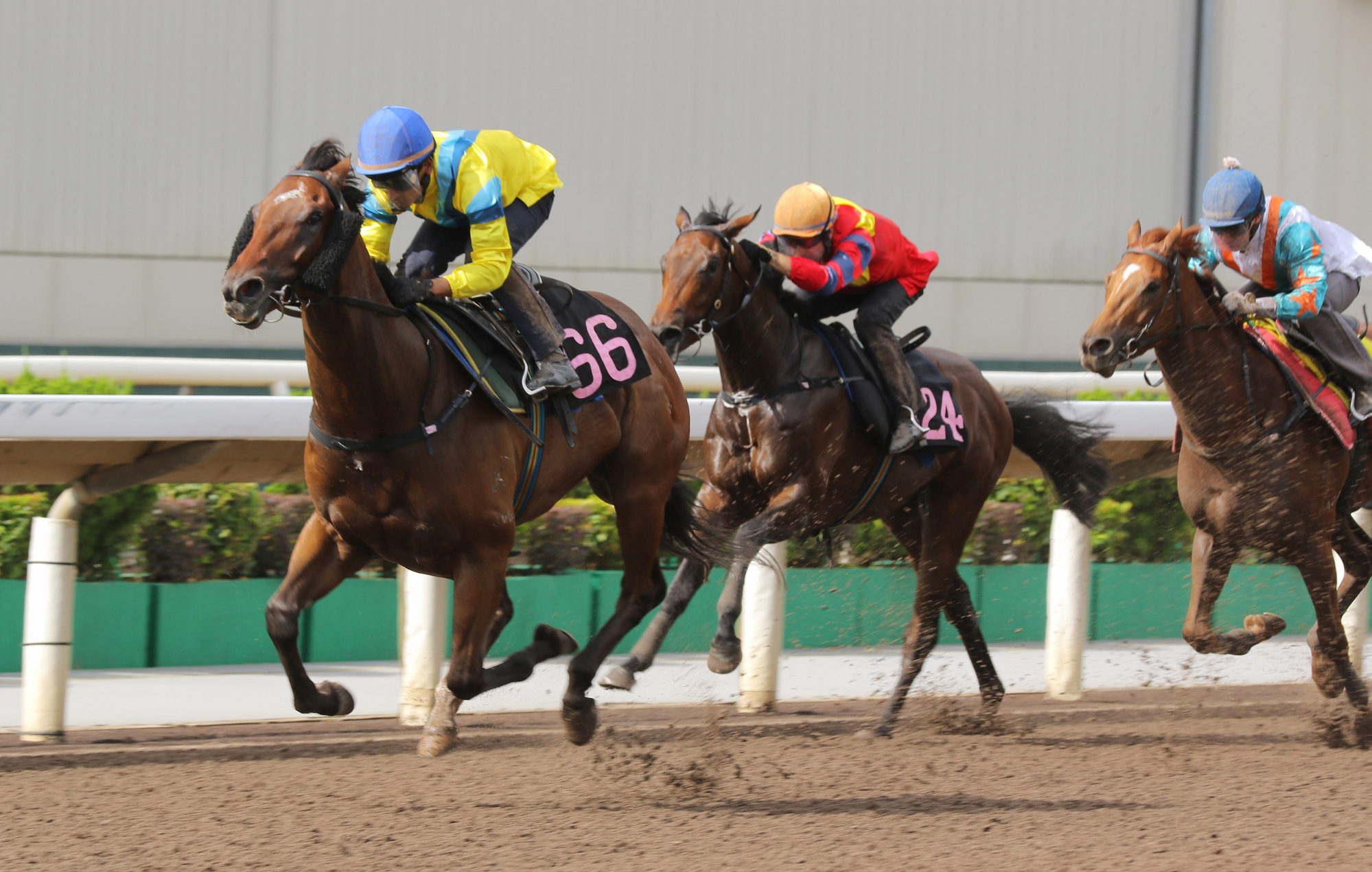 Aurora Lady wins a Sha Tin dirt trial under Karis Teetan on June 25.