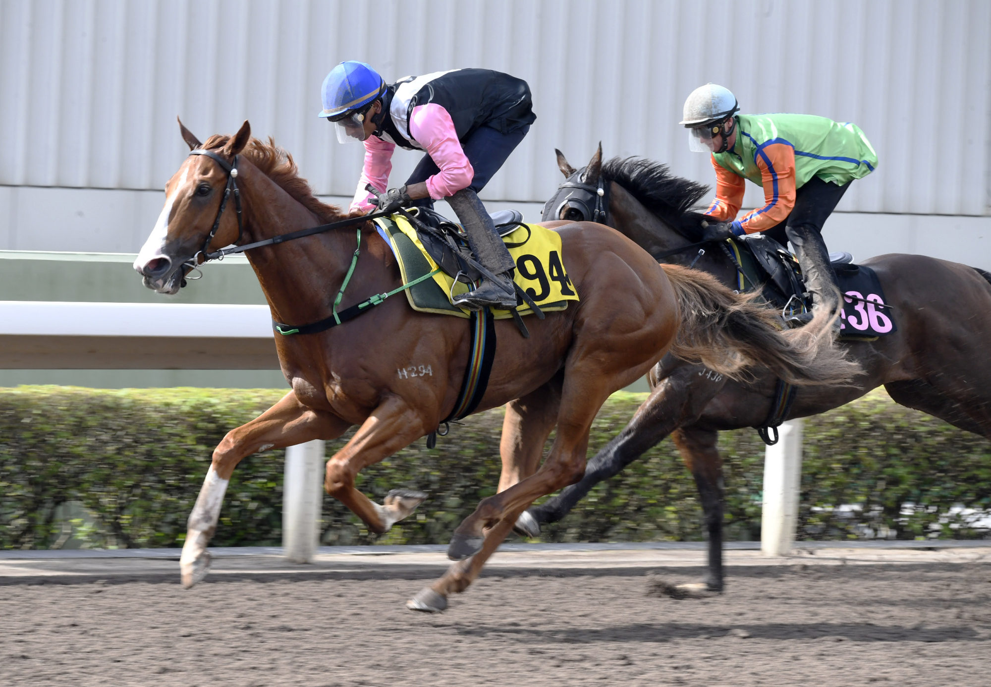 Beauty Waves wins a Sha Tin dirt trial under Karis Teetan on June 25.