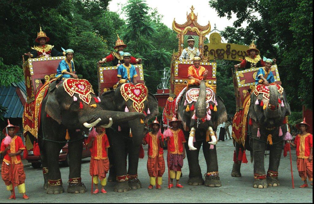 Elephants with riders wearing historic Burmese royal costumes line up in front of a zoo. Photo: AFP