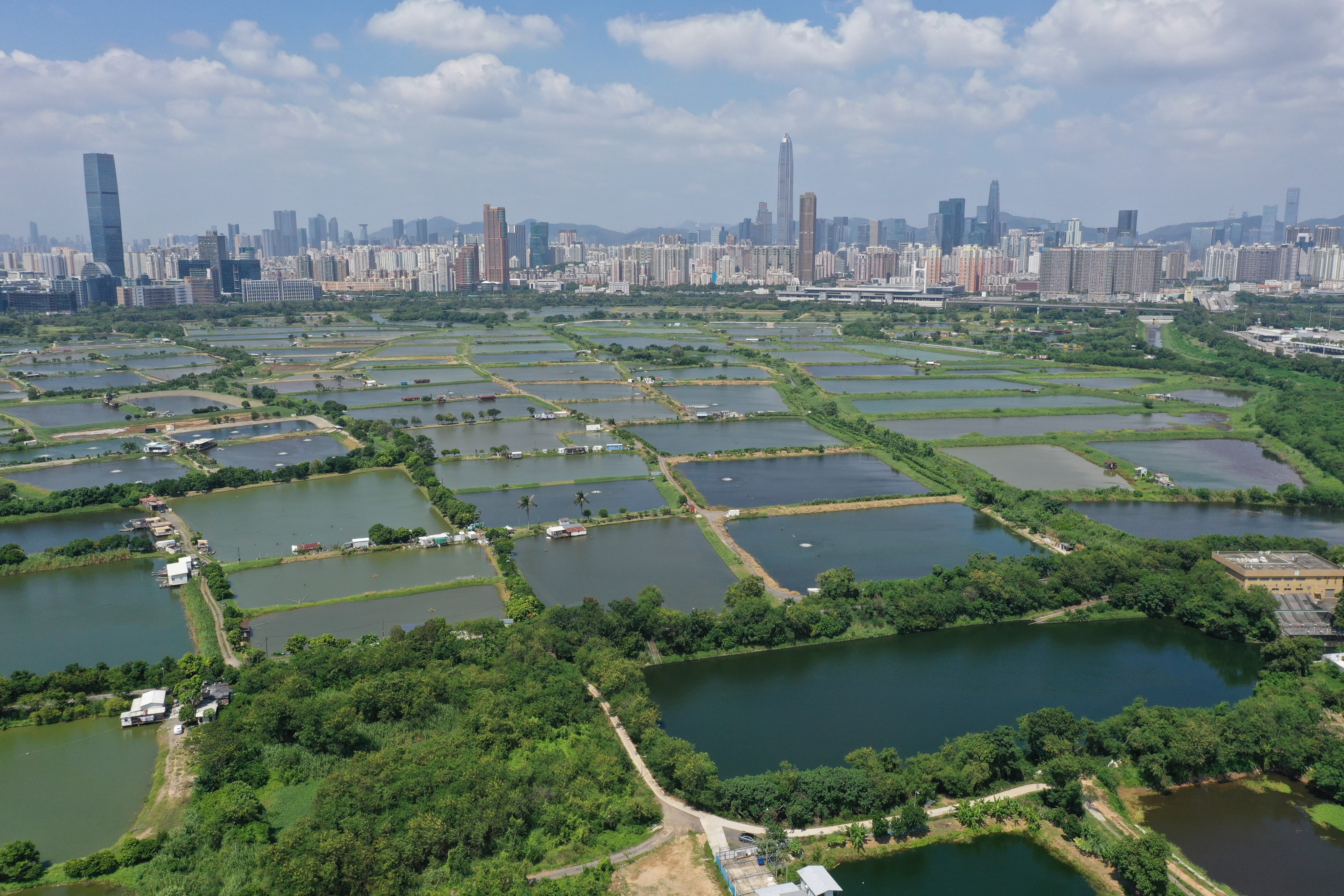 Aerial view of San Tin area in North New Territories， with Shenzhen in the background. Photo: Winson Wong
