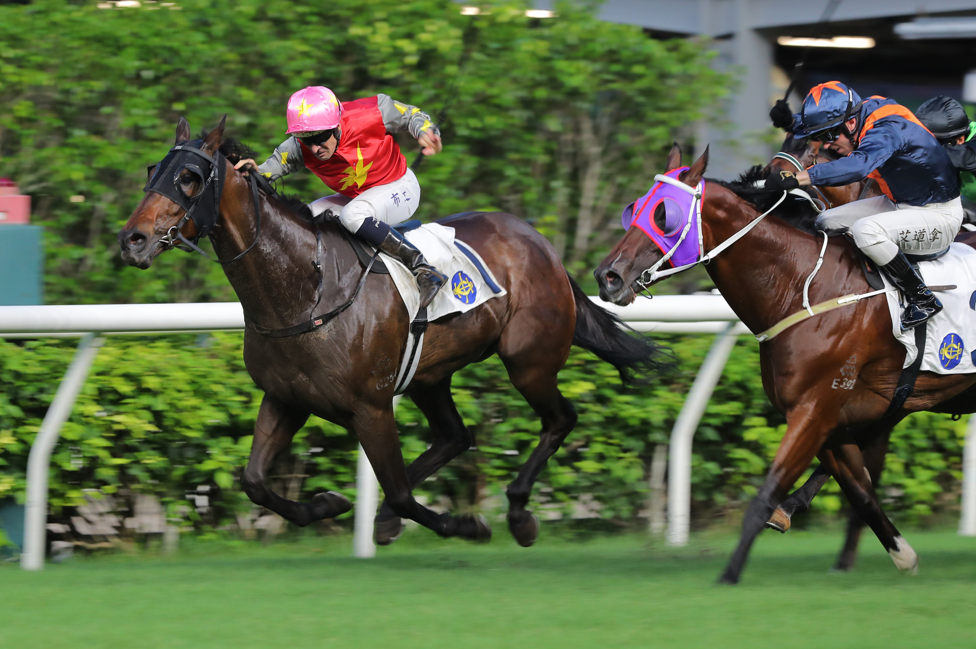 Hugh Bowman boots home Majestic Knight.