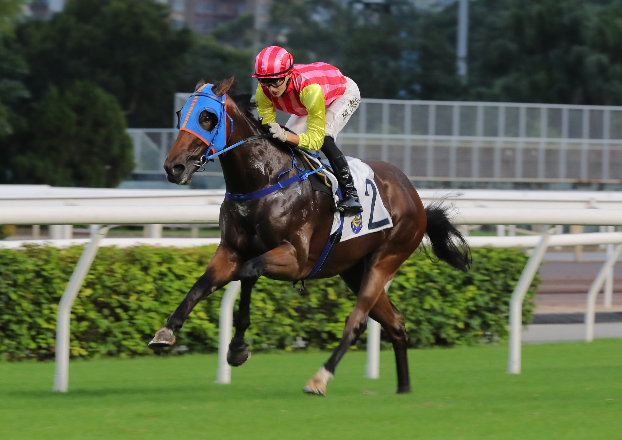 Lo Pan Spirit cruises to victory under Harry Bentley.