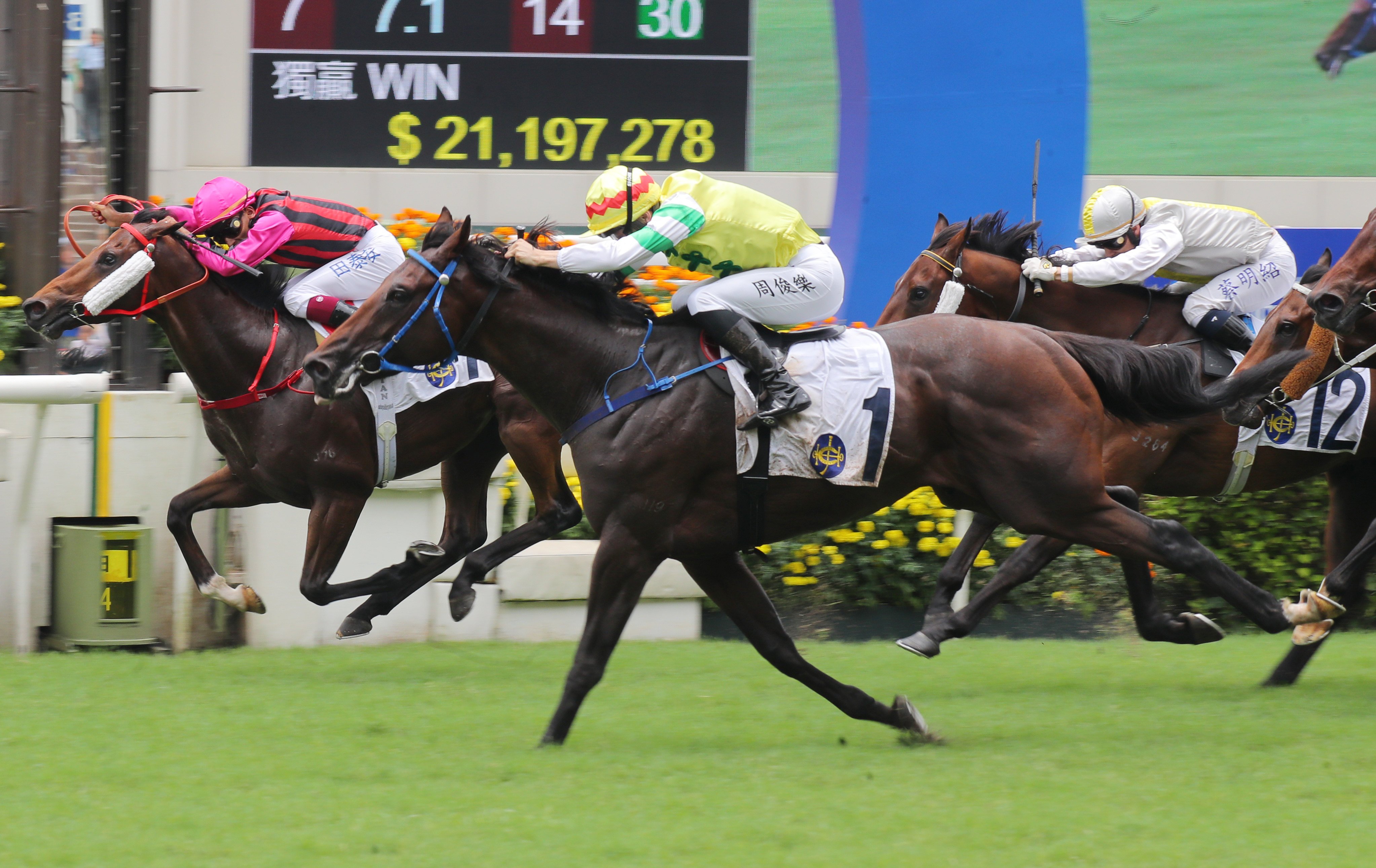 Thunder Blink storms home down the outside to nail Santorini last start. Photos: Kenneth Chan