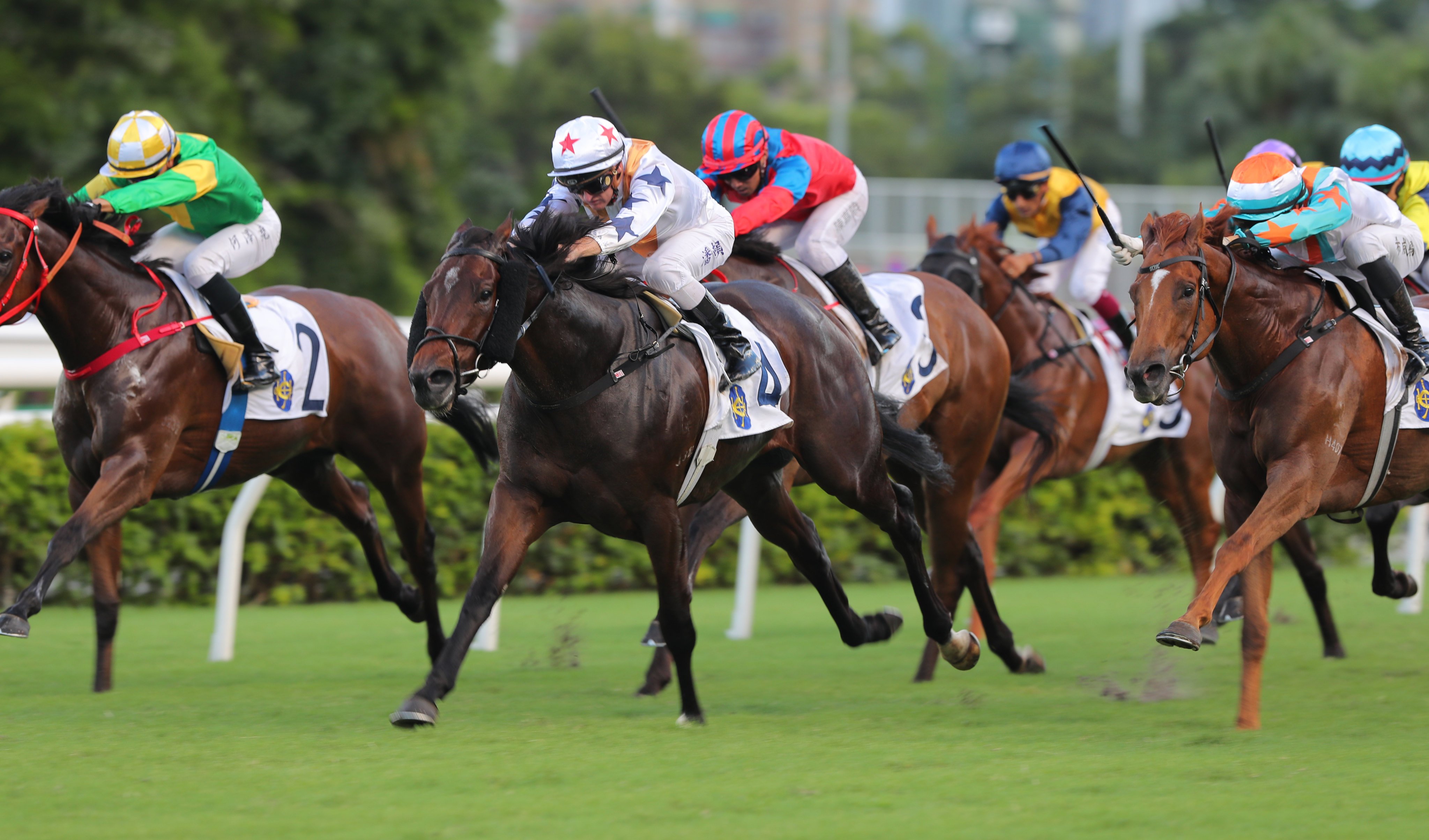 Zac Purton guides Courier Aladdin to a smart win on debut. Photos: Kenneth Chan