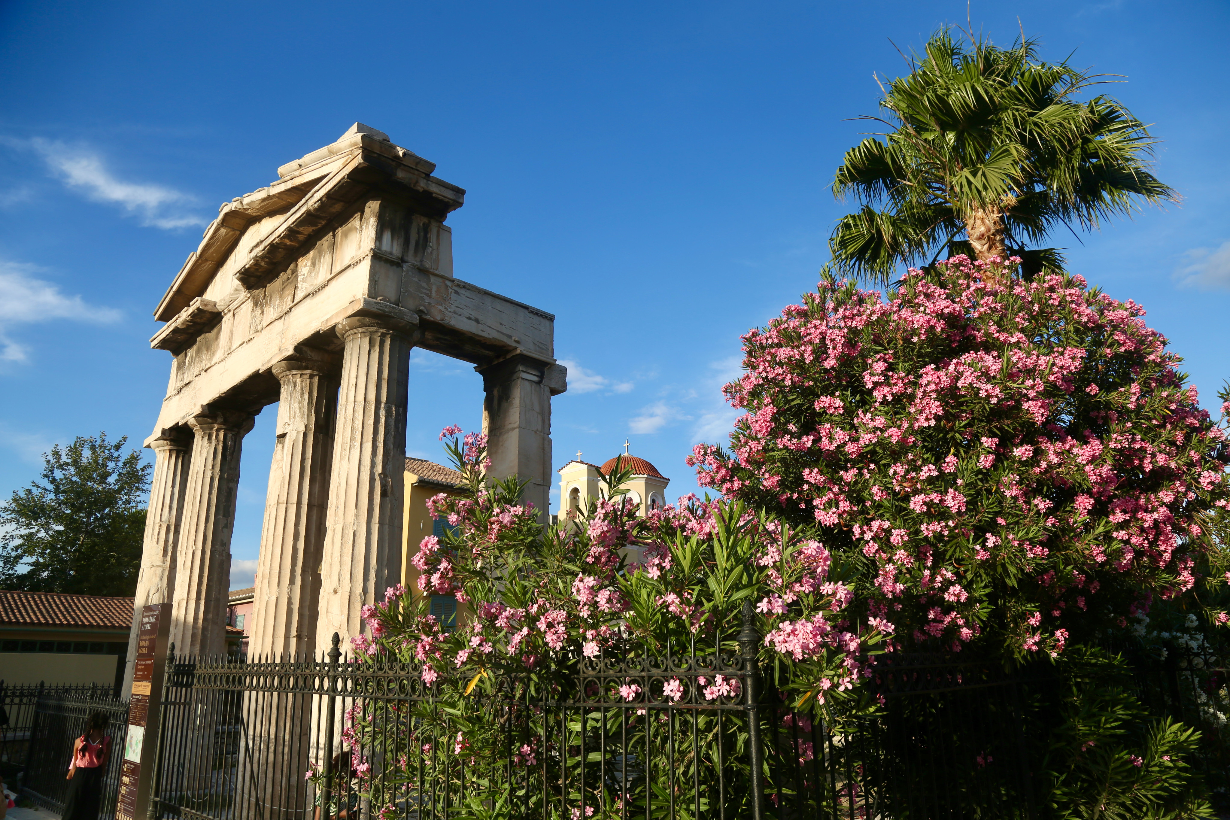 Flowers in bloom in Athens in spring. Photo: Ian Lloyd Neubauer