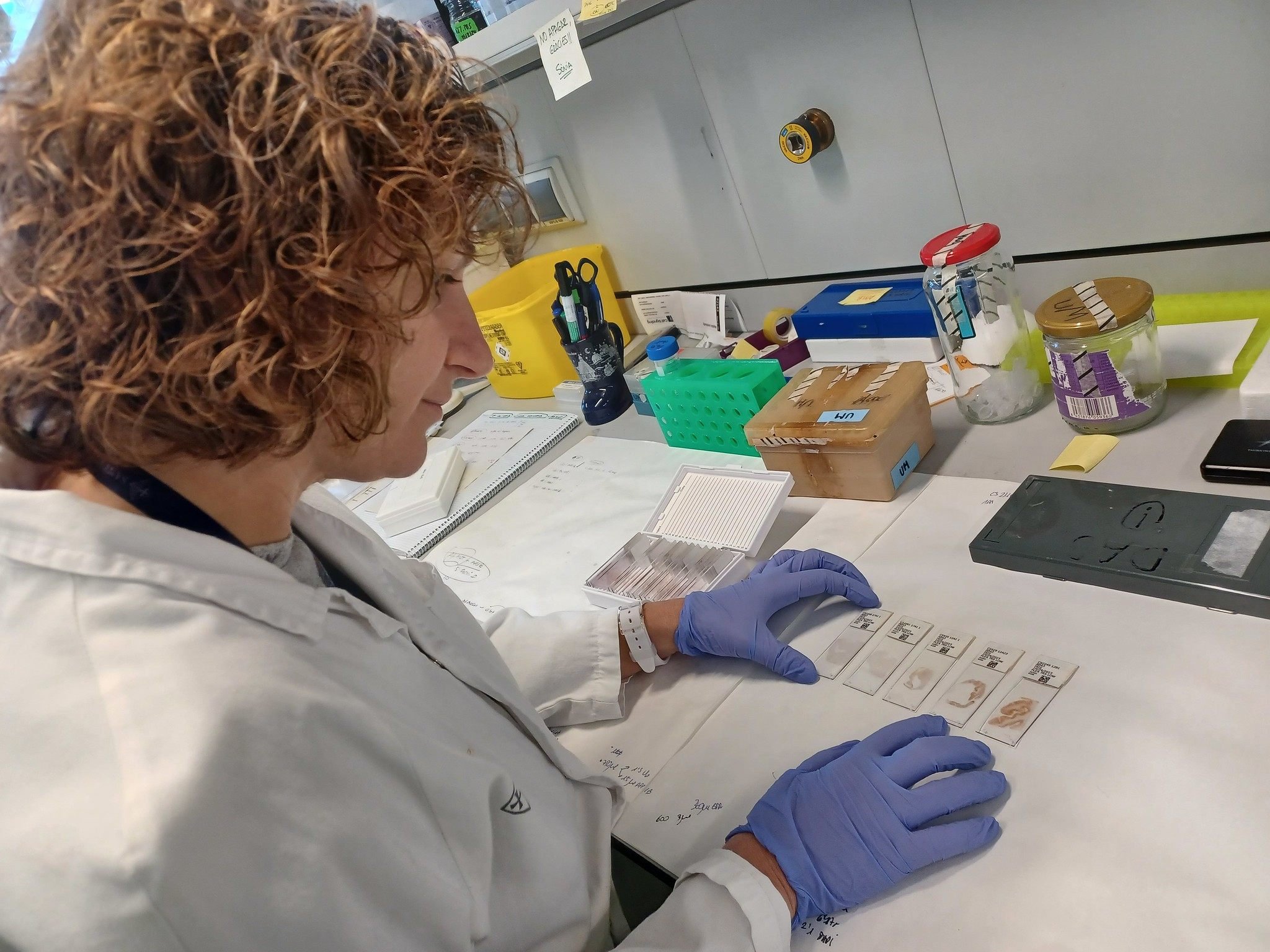 A researcher at the Spanish hospital where the study was carried out. Photo: Hospital de la Santa Creu i Sant Paul