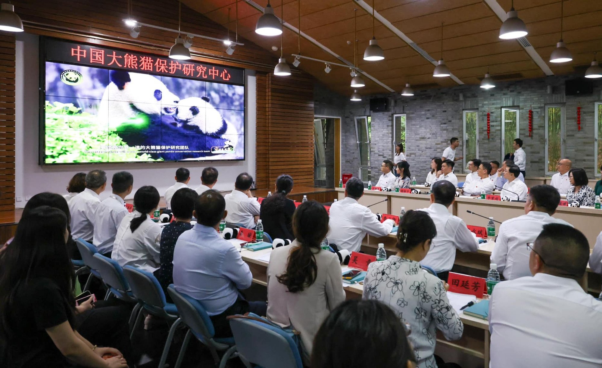 City leader John Lee has discussed panda preparations during his trip to Sichuan. Photo: Facebook/John Lee