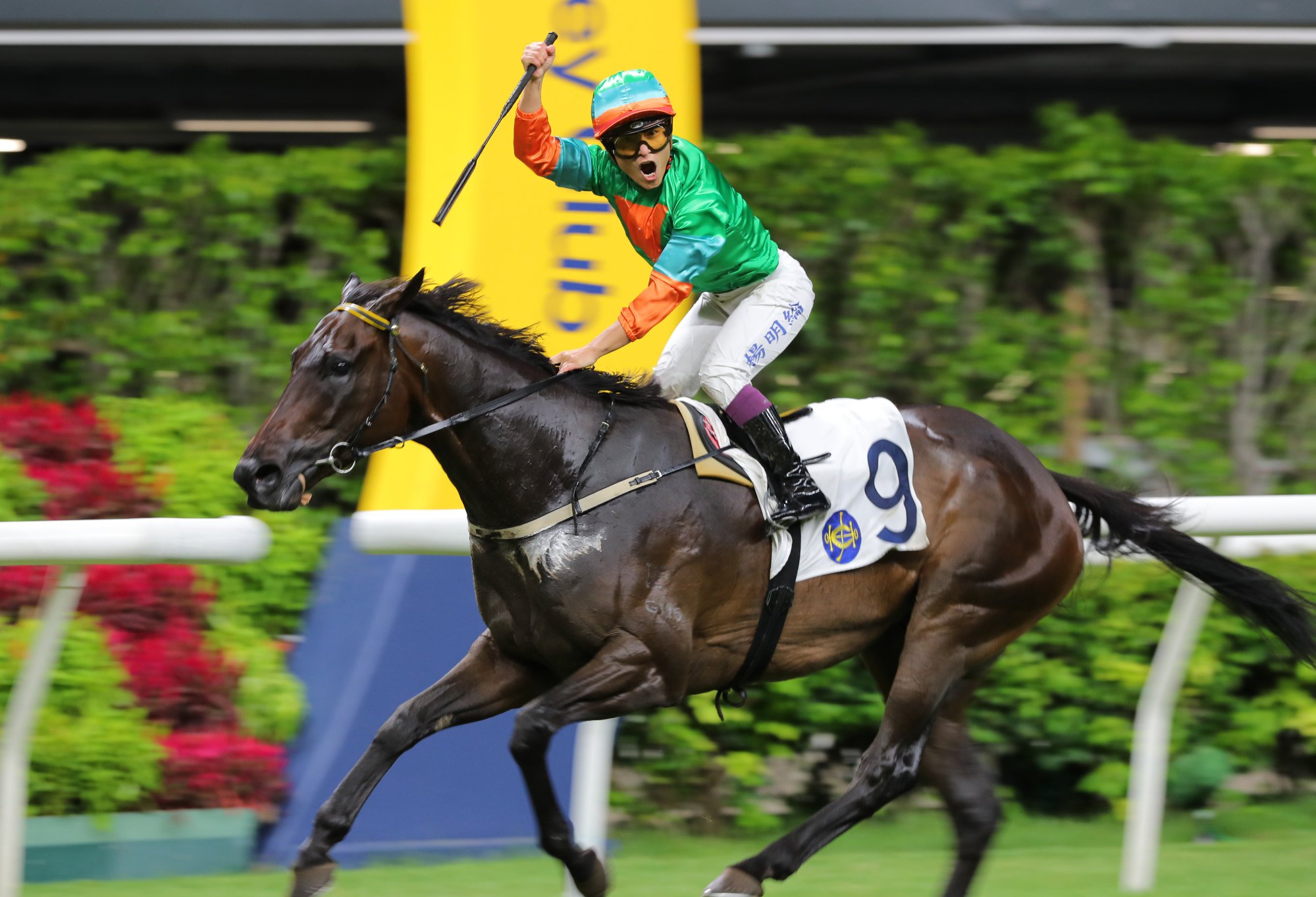 Keith Yeung salutes the crowd aboard Woodfire Bro.