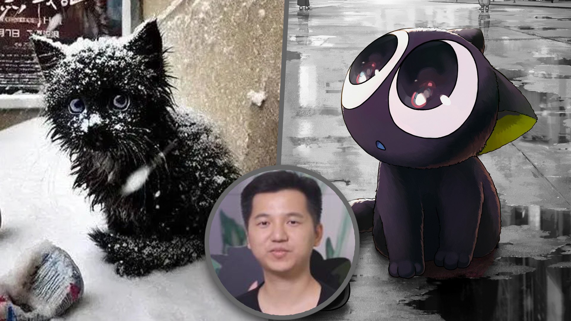 A well-known cartoon creator in China has angered fans of his animated movie cat character after he abandoned the real-life feline it was based on. Photo: SCMP composite/Baidu/Sohu