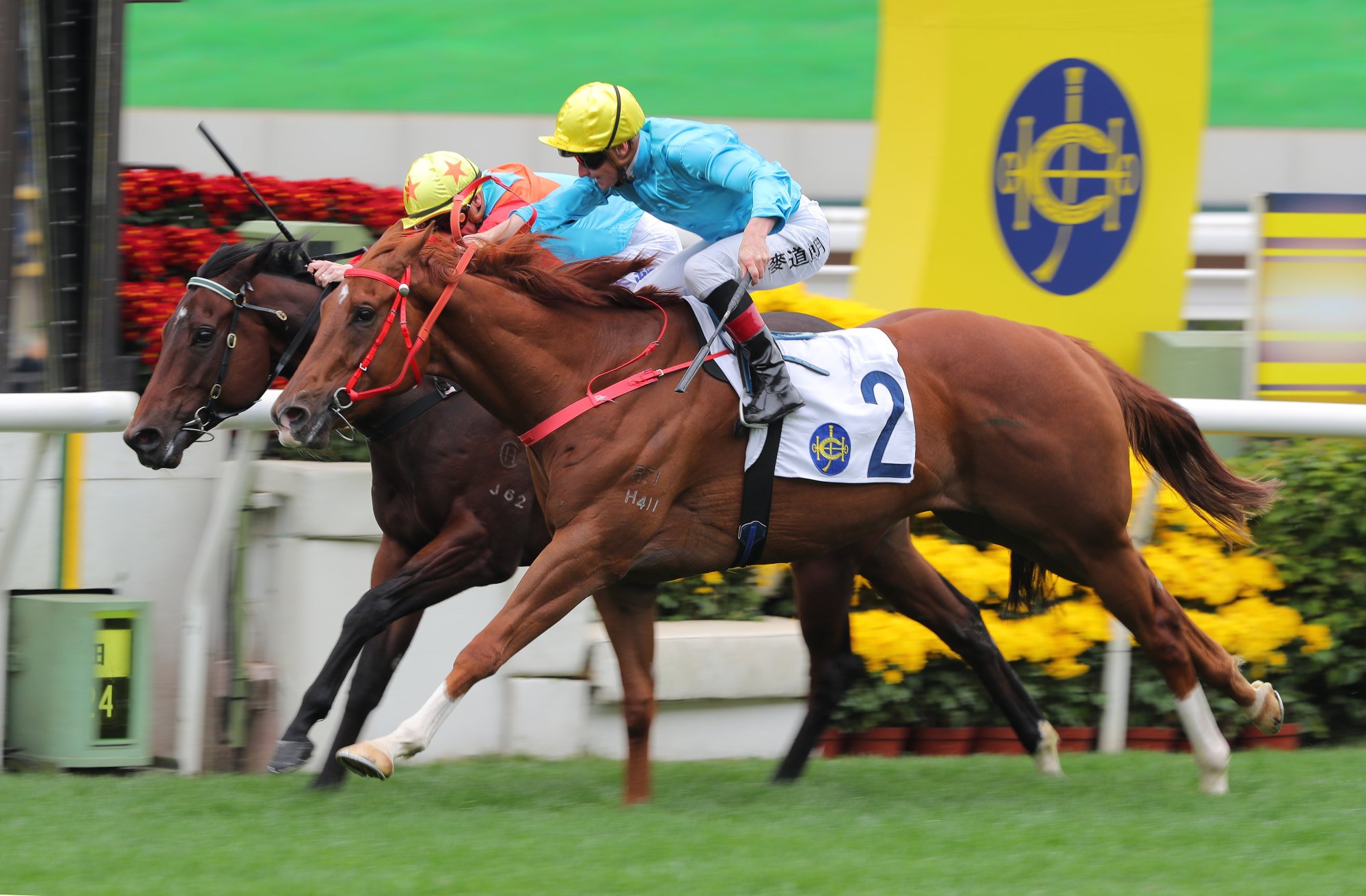 Wunderbar (outside) denies Ka Ying Rising for a second time in January.