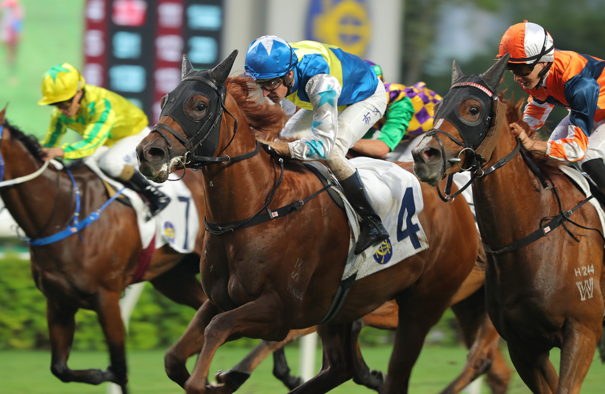 Patch Of Theta narrowly gets the verdict at Sha Tin in May.